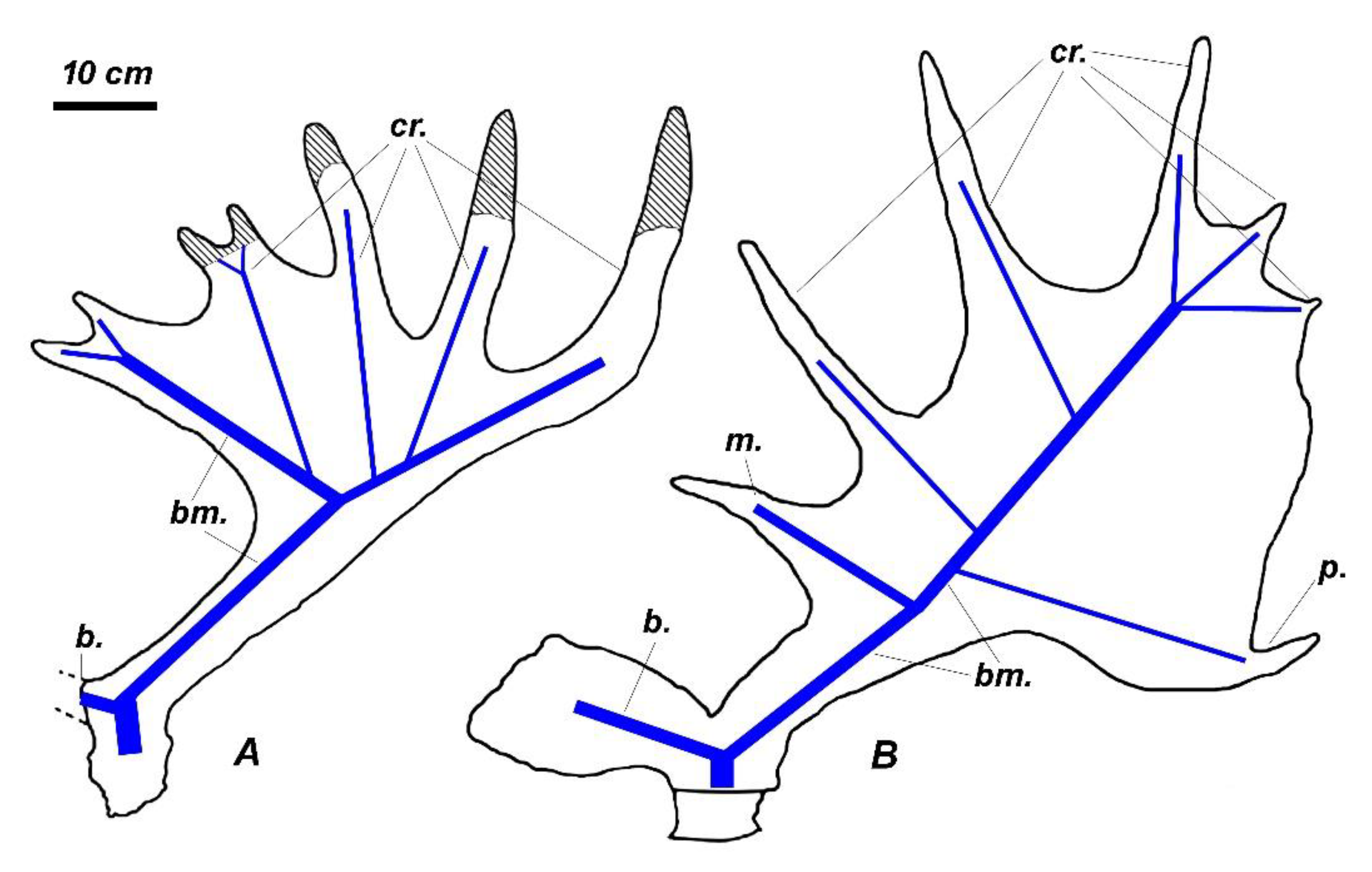 Quaternary 04 00036 g012