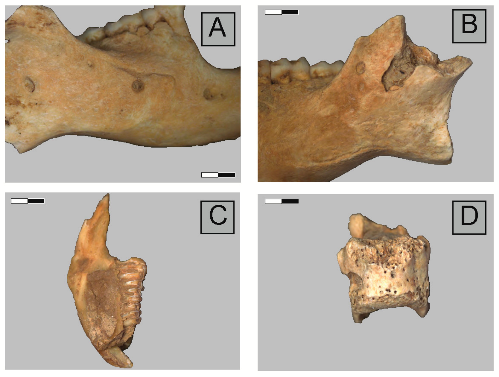 Quaternary 04 00041 g003