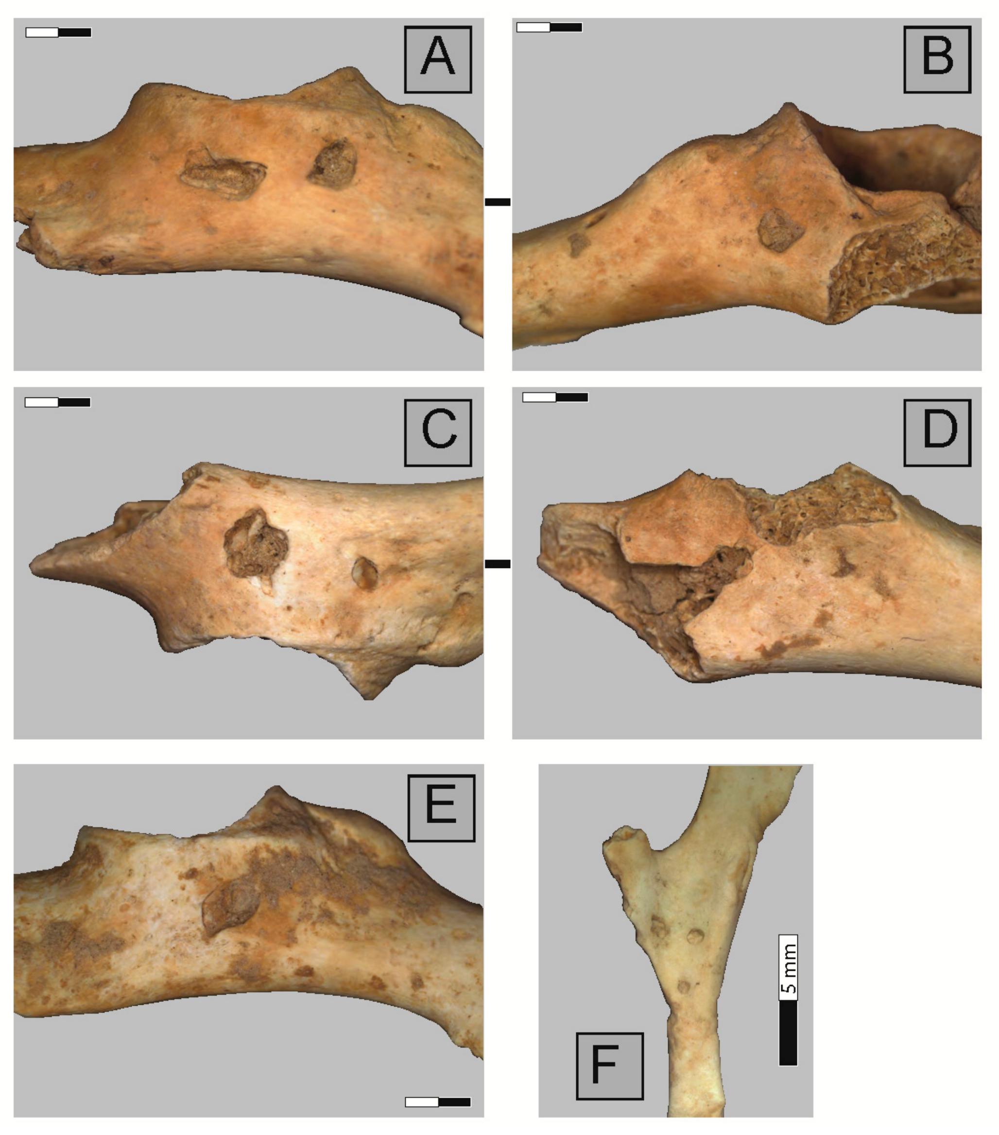 Quaternary 04 00041 g005