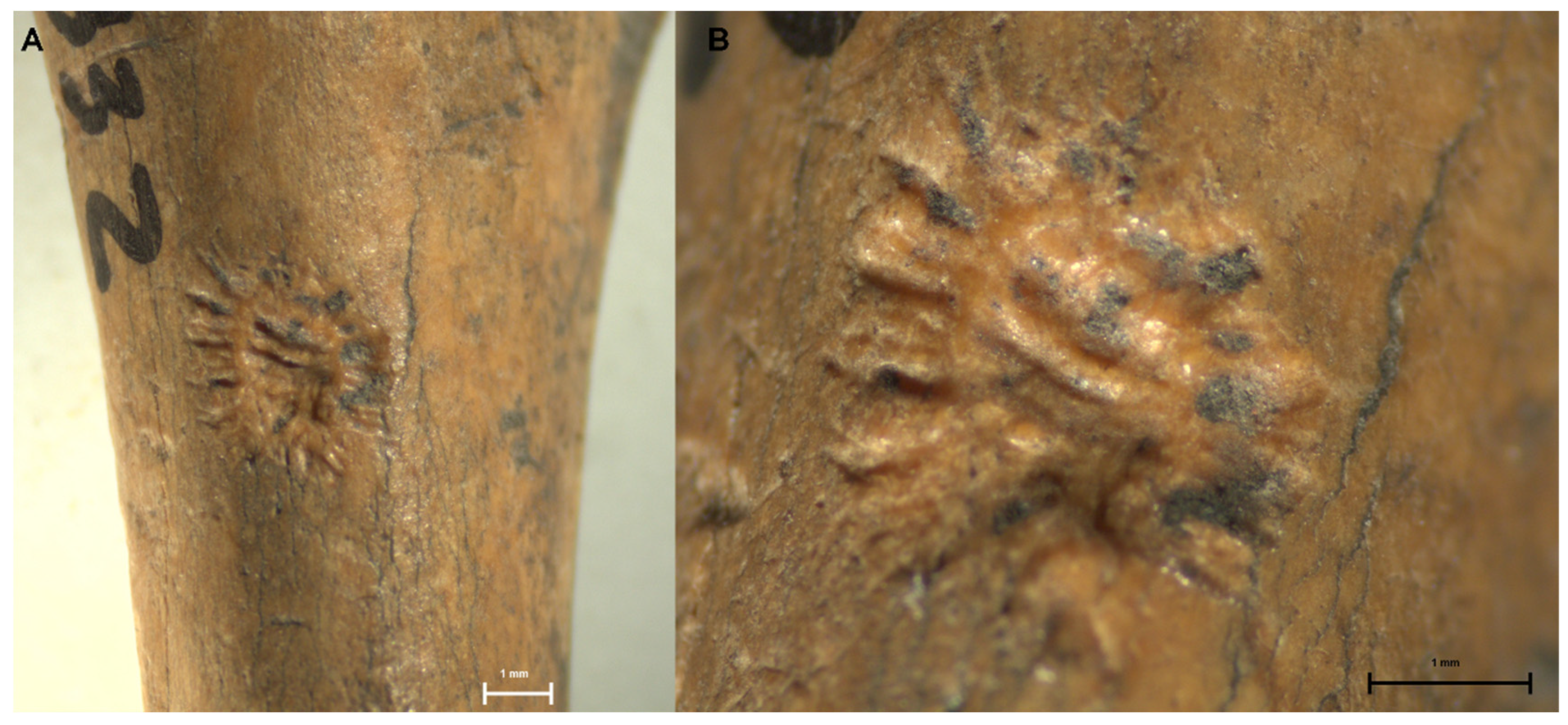 Quaternary 04 00045 g007
