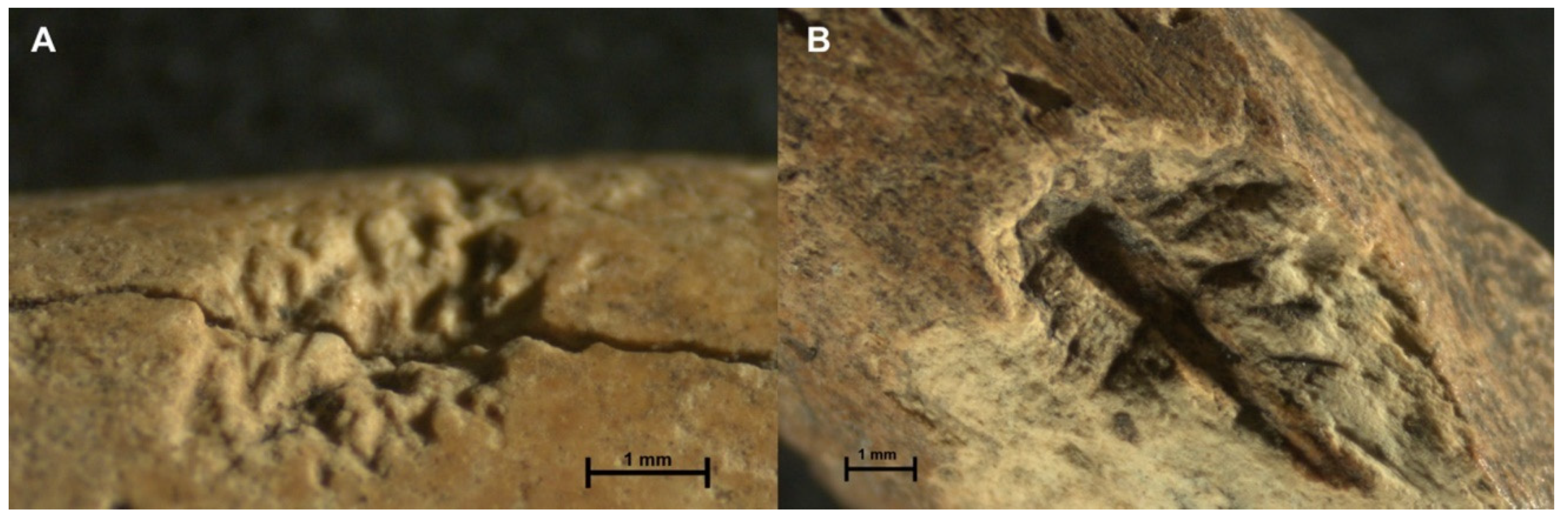 Quaternary 04 00045 g008