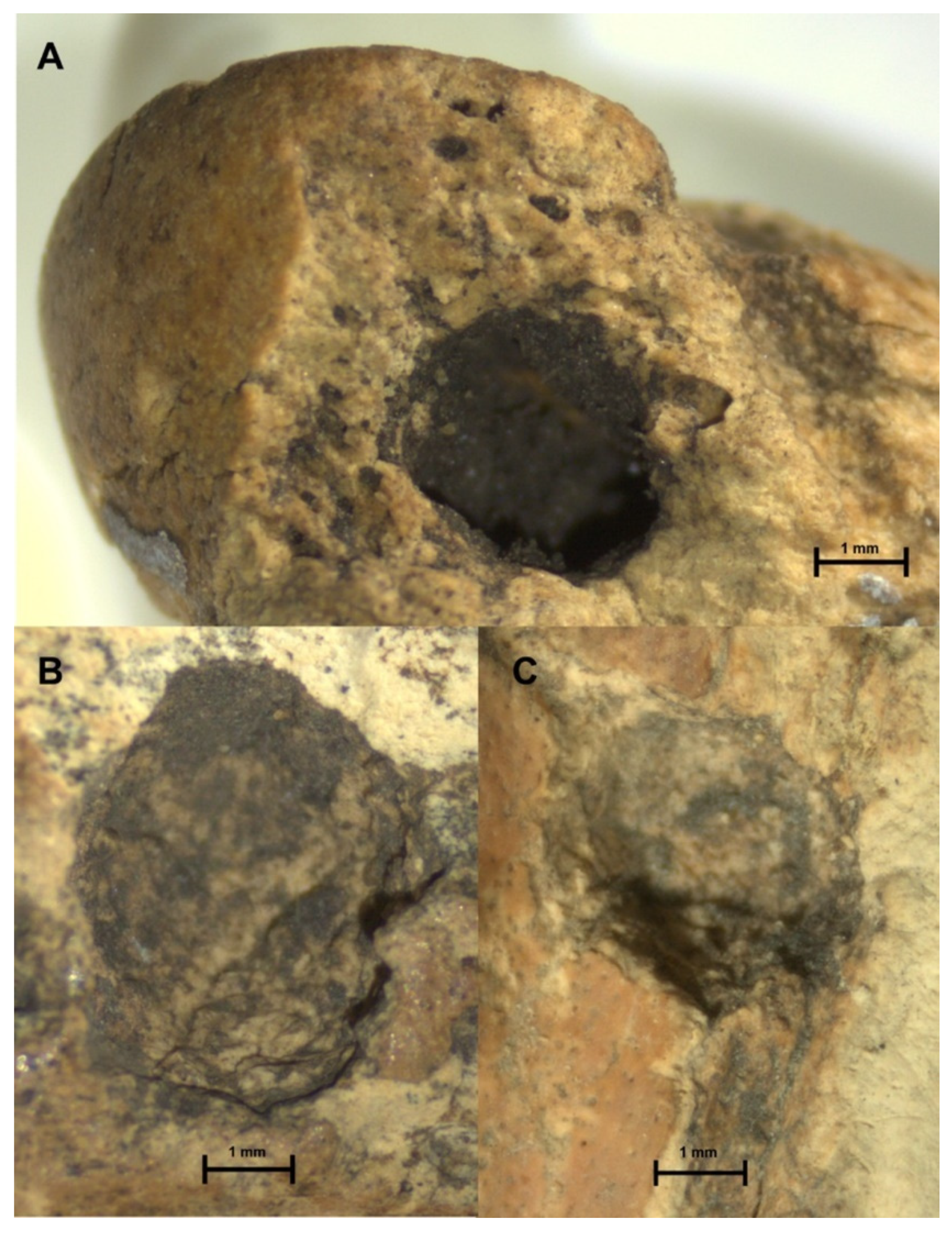 Quaternary 04 00045 g009