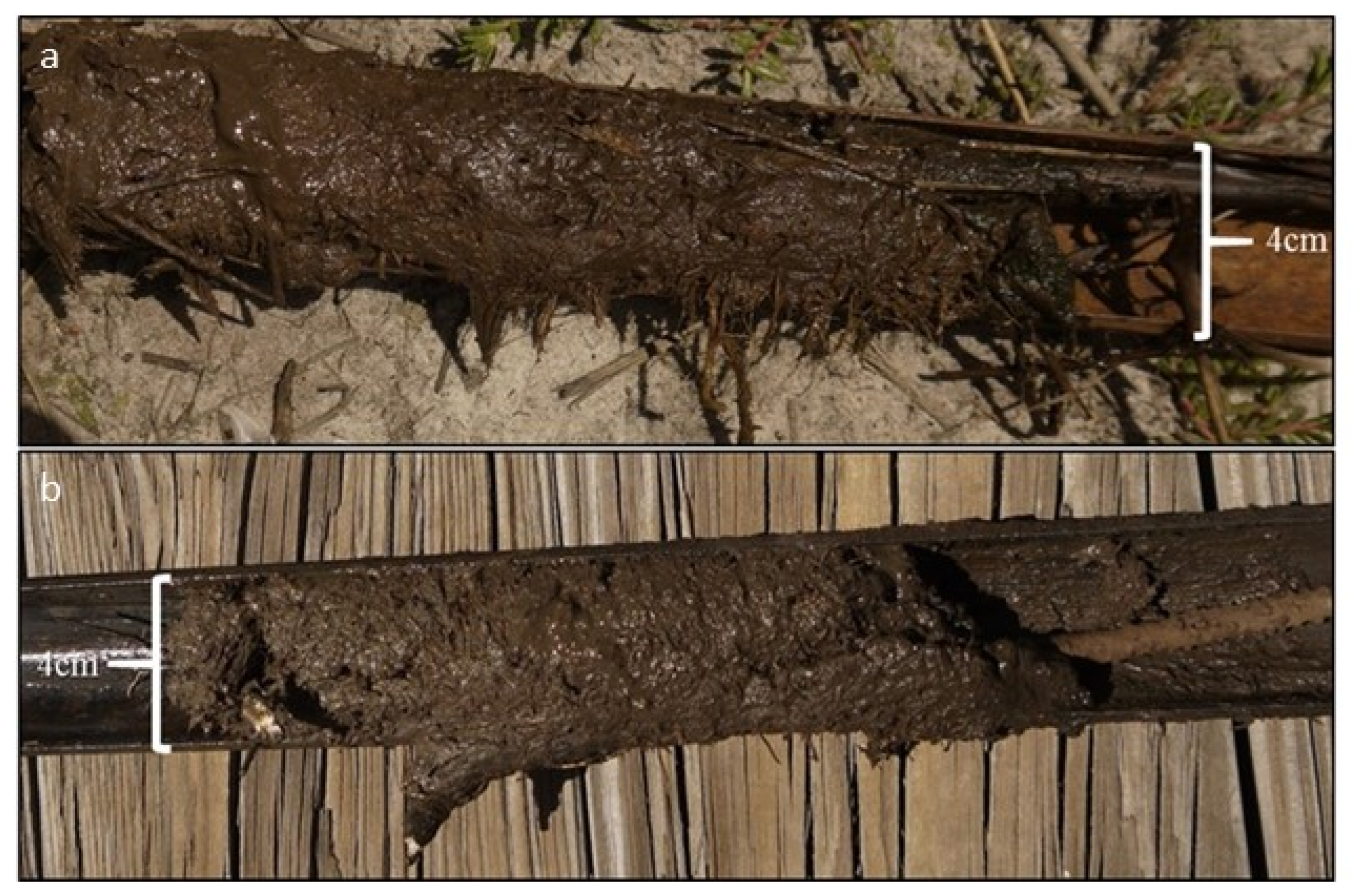 Quaternary 05 00002 g002