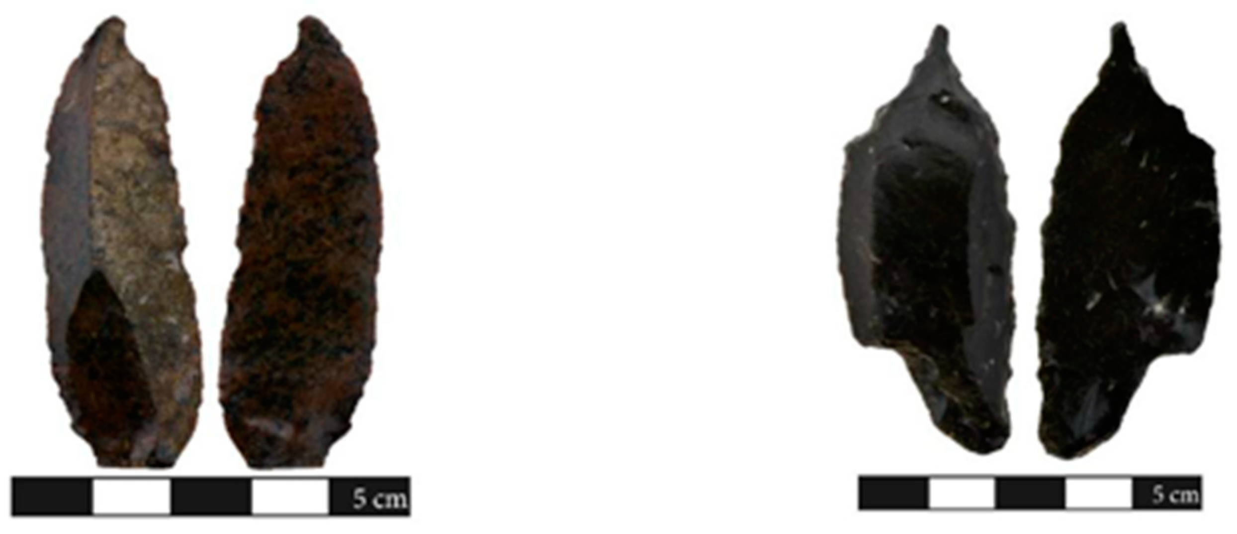 Quaternary 05 00003 g004