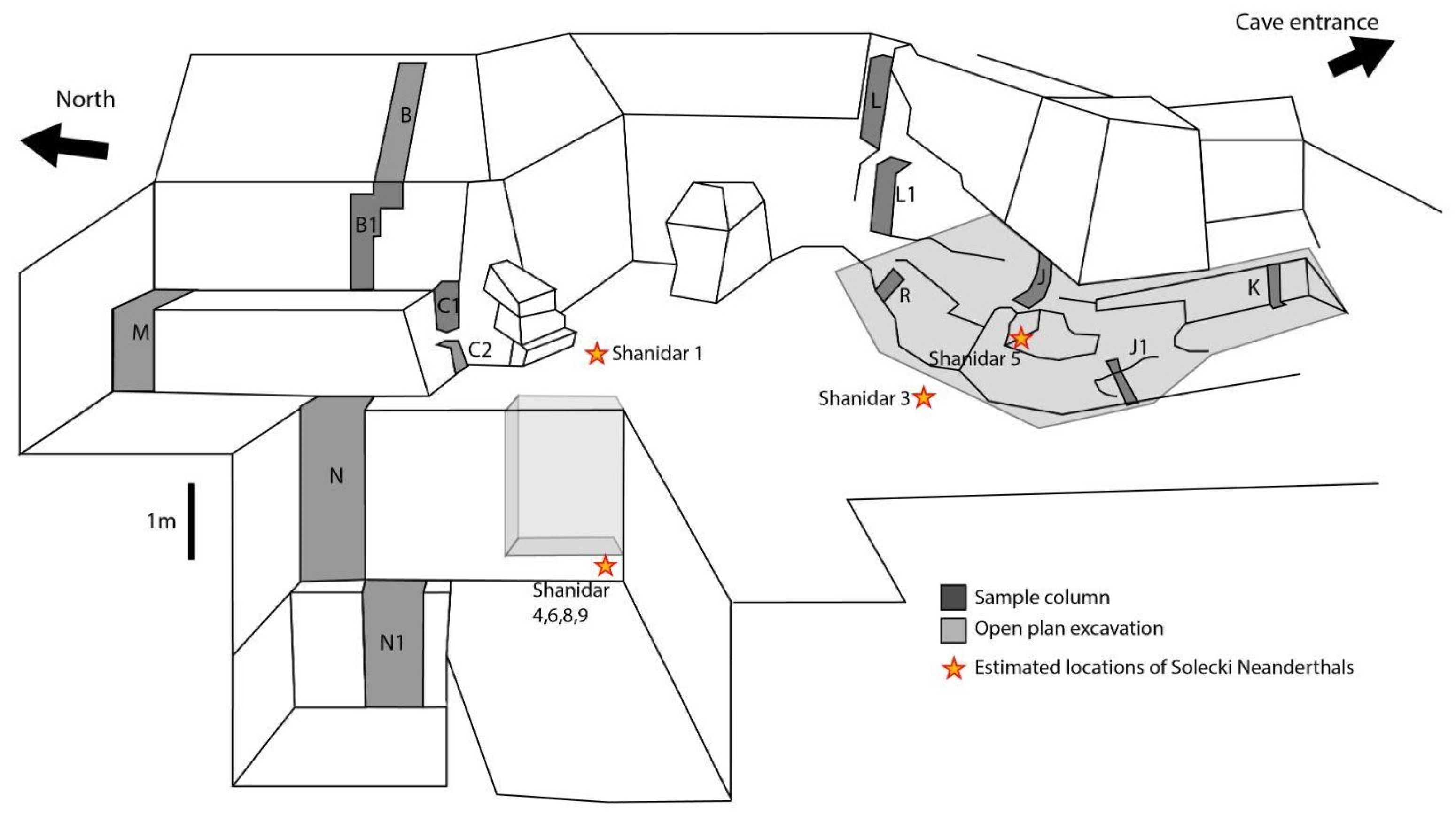 Quaternary 05 00004 g002