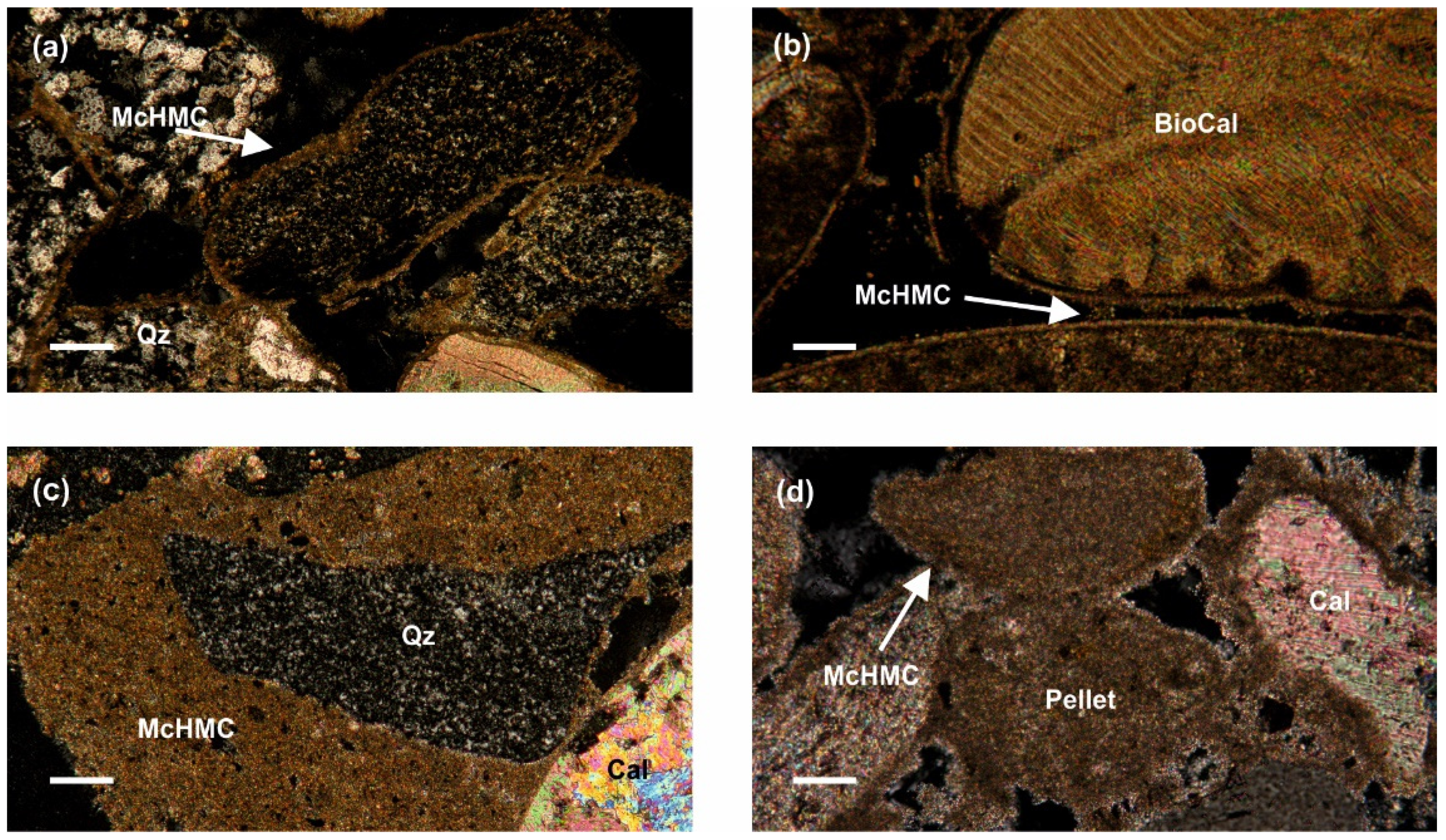 Quaternary 05 00007 g005 Quaternary 05 00007 g005