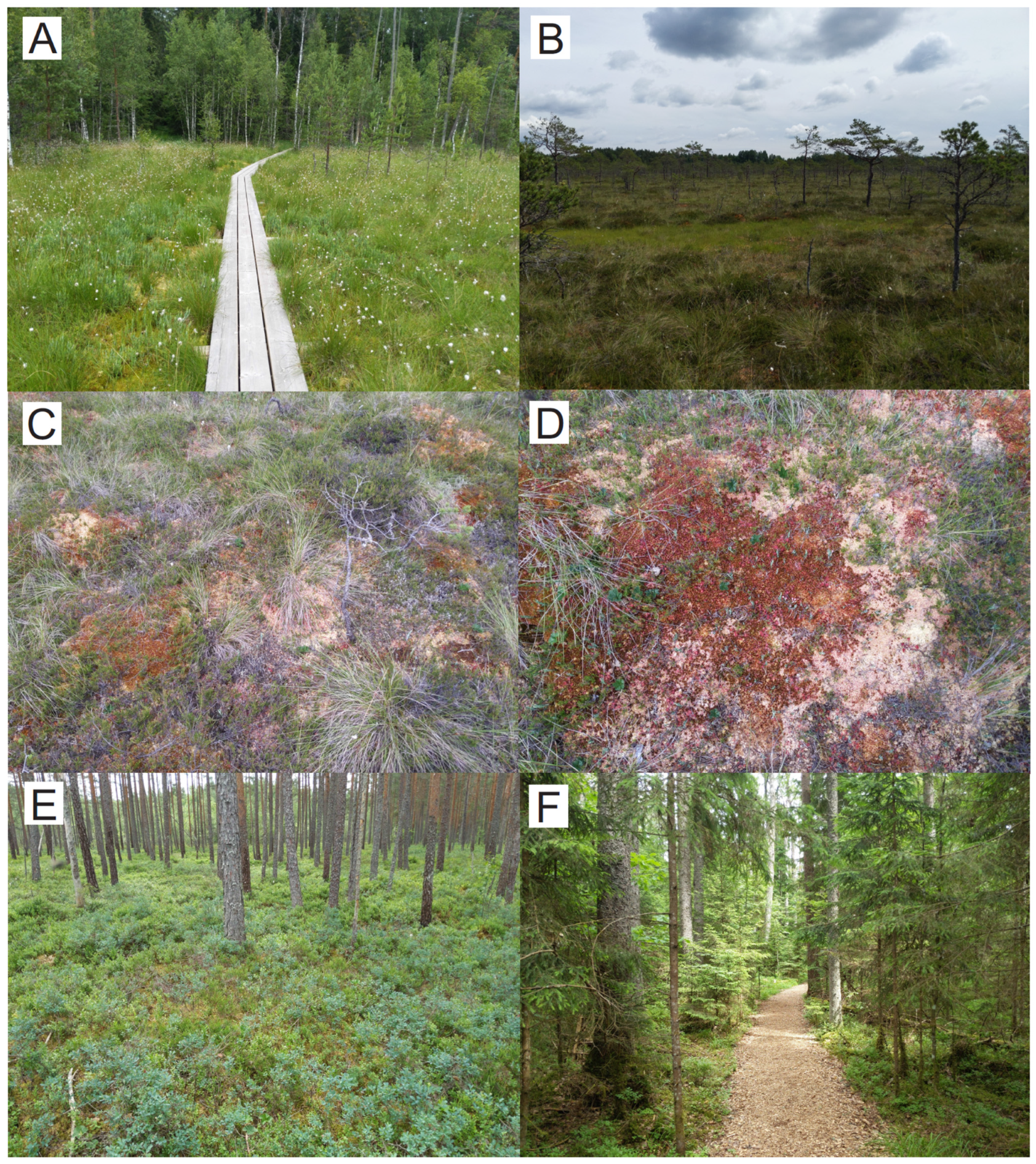 Quaternary 05 00008 g002