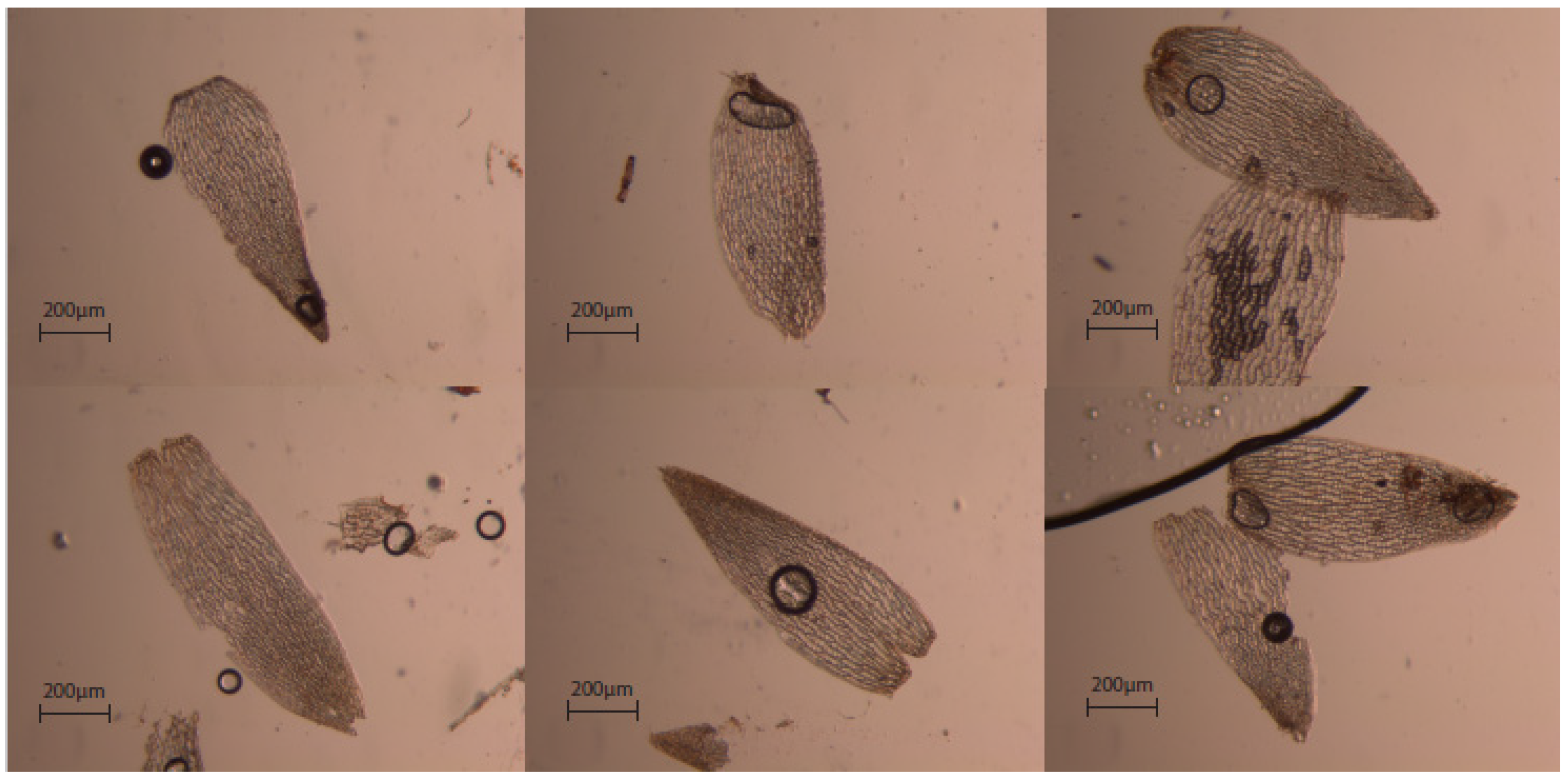 Quaternary 05 00008 g007