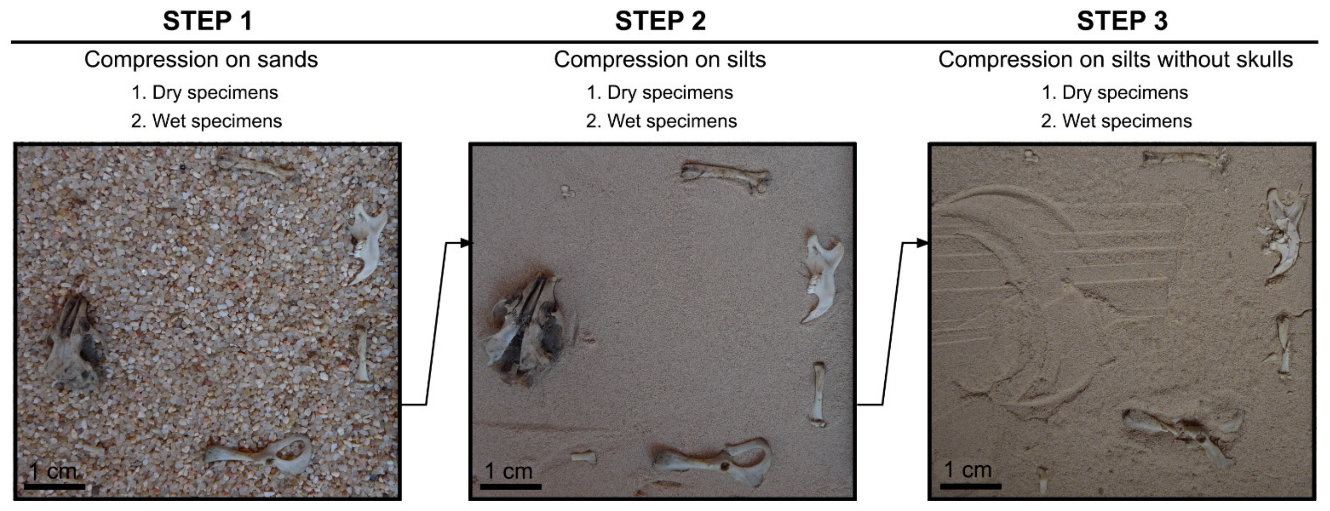 Quaternary 05 00011 g002