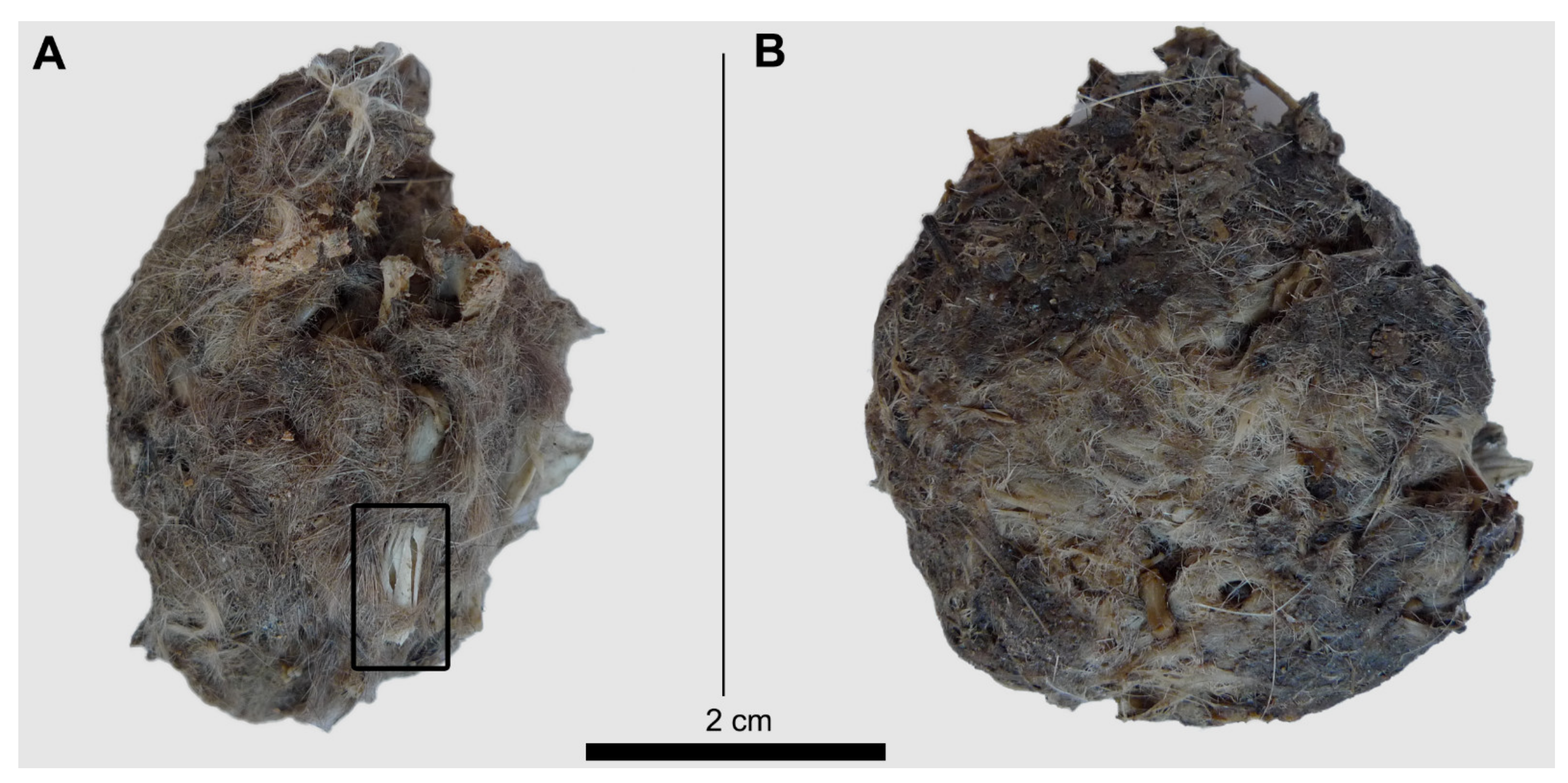 Quaternary 05 00011 g005