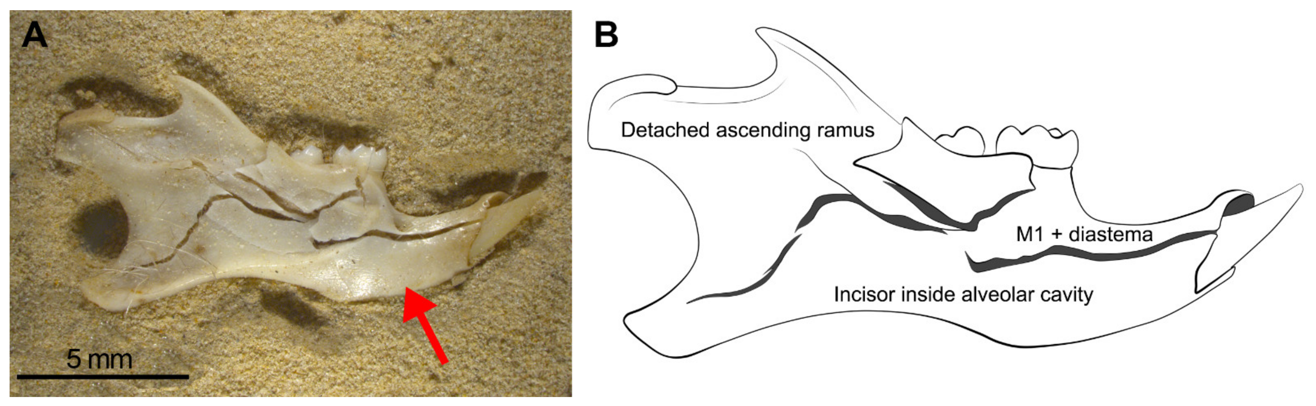 Quaternary 05 00011 g007