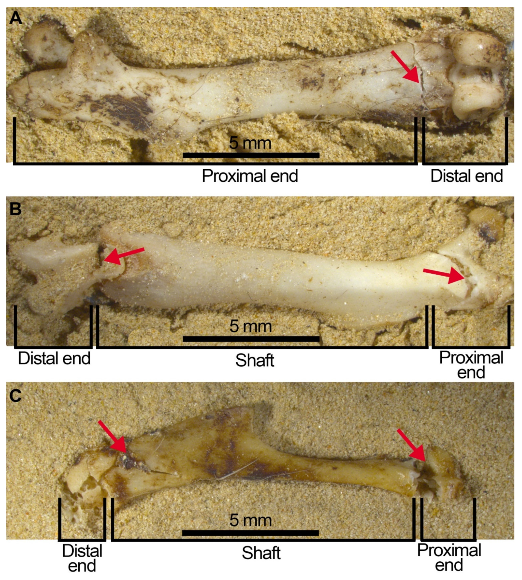 Quaternary 05 00011 g009