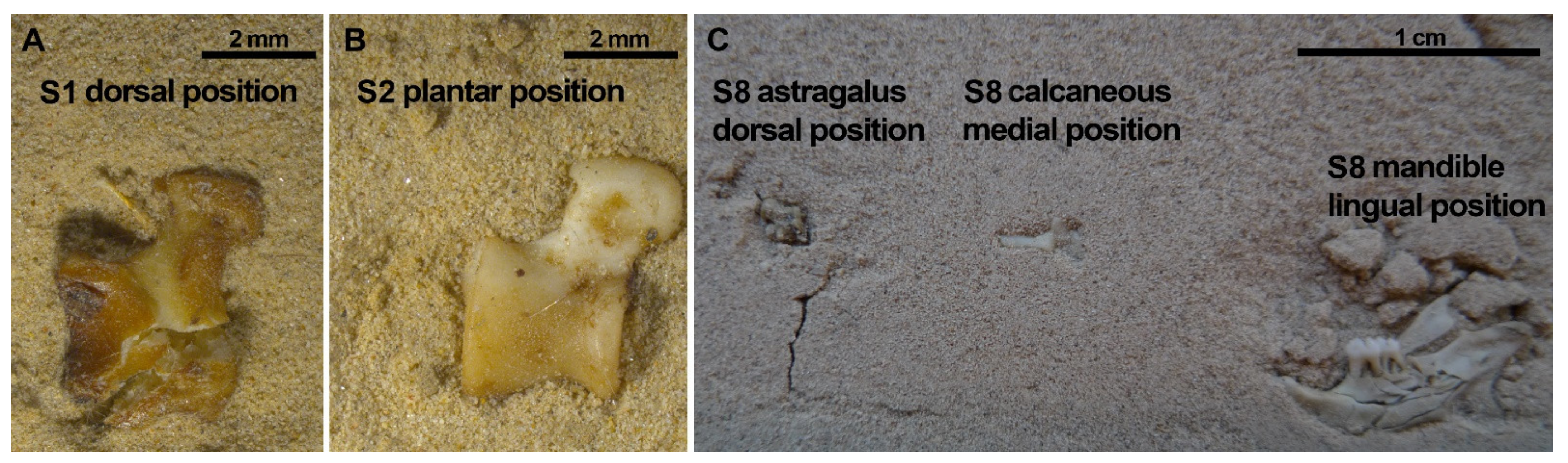 Quaternary 05 00011 g011