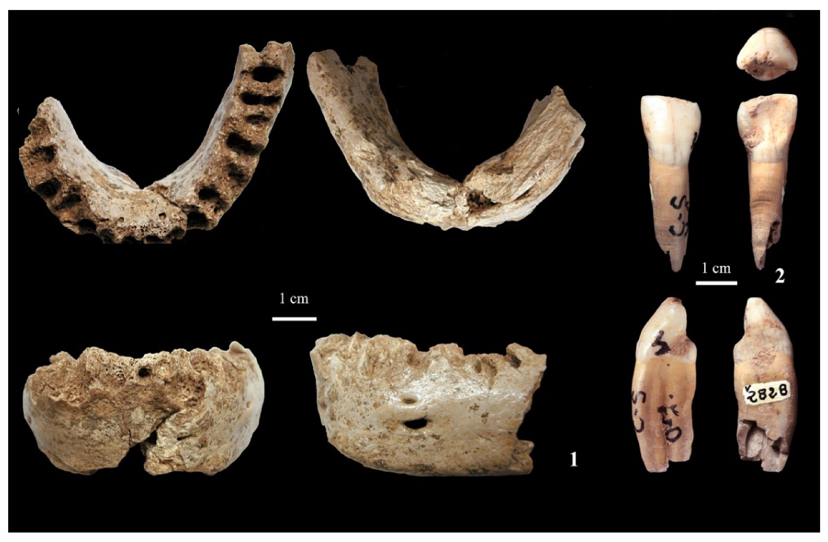 Quaternary 05 00012 g004