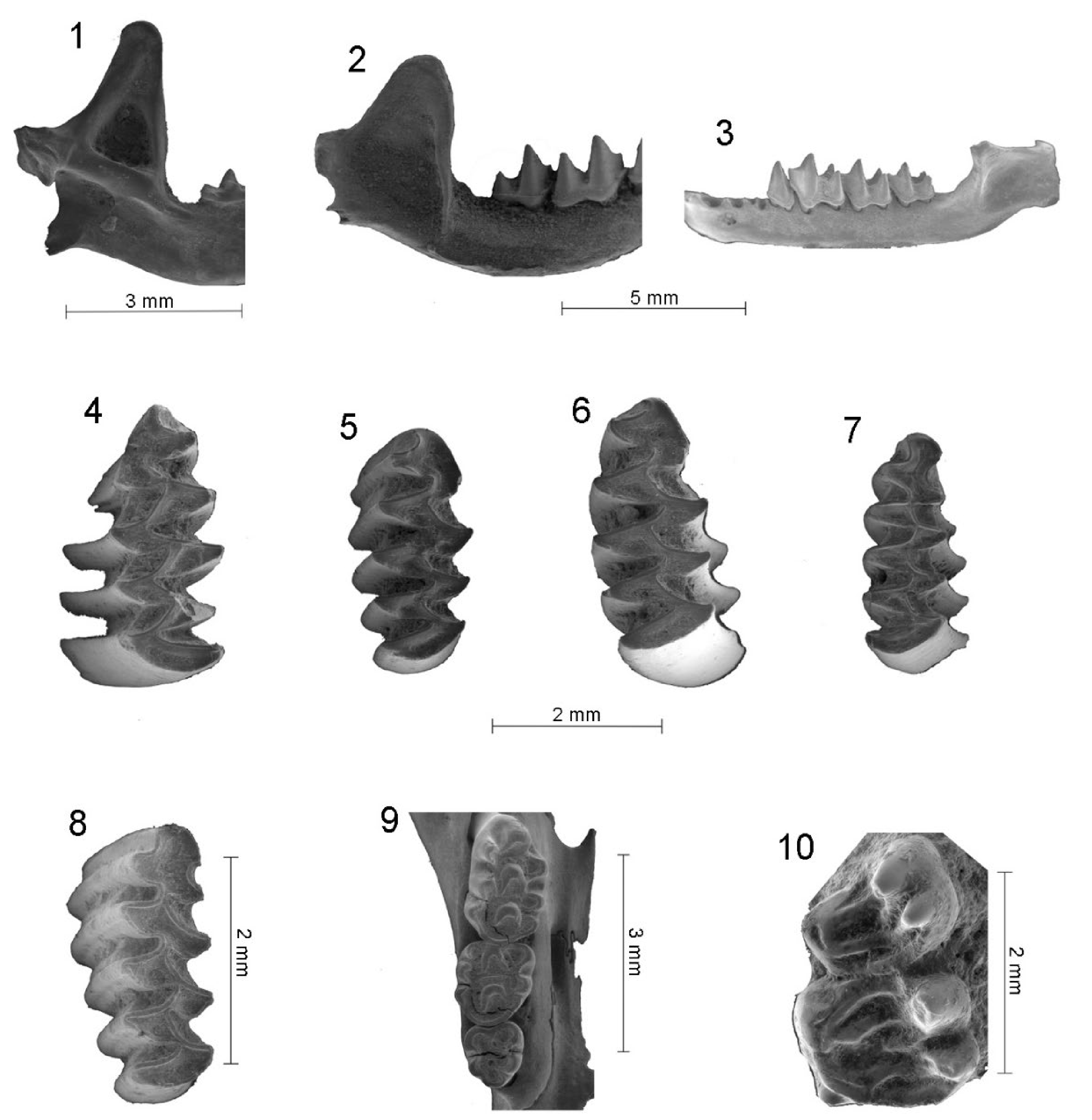 Quaternary 05 00012 g007