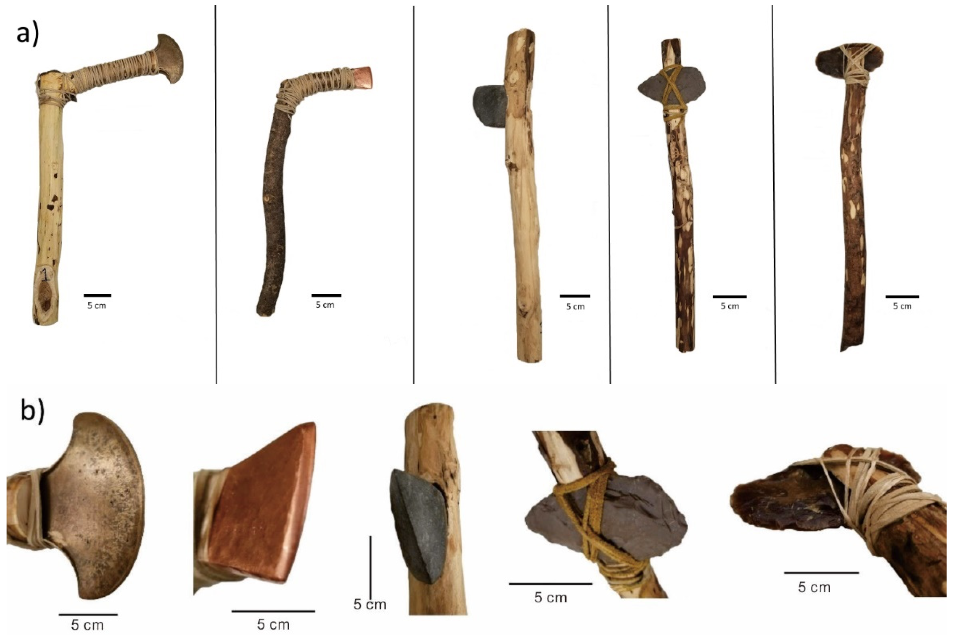 Quaternary 05 00015 g001