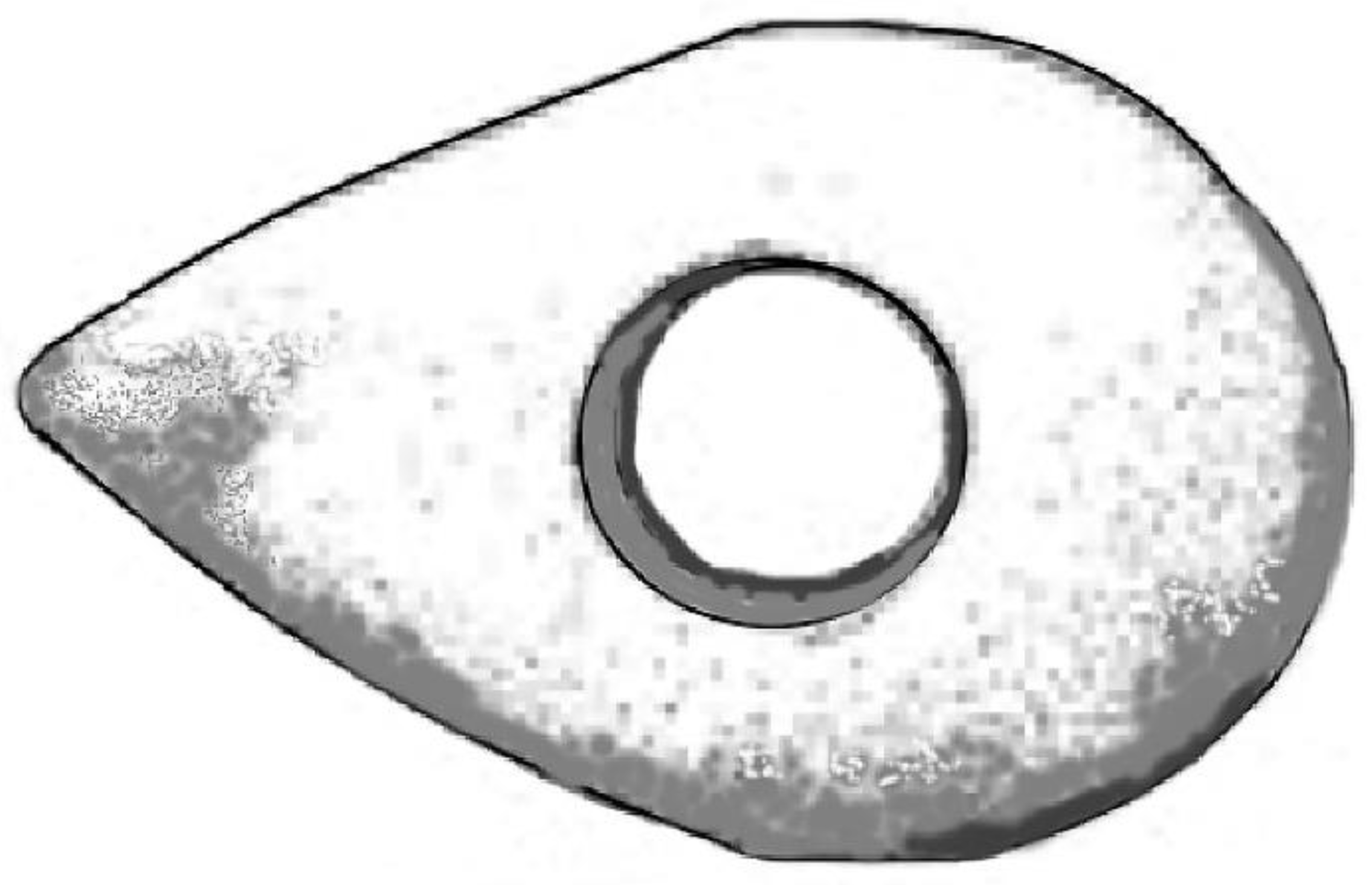 Quaternary 05 00015 g002