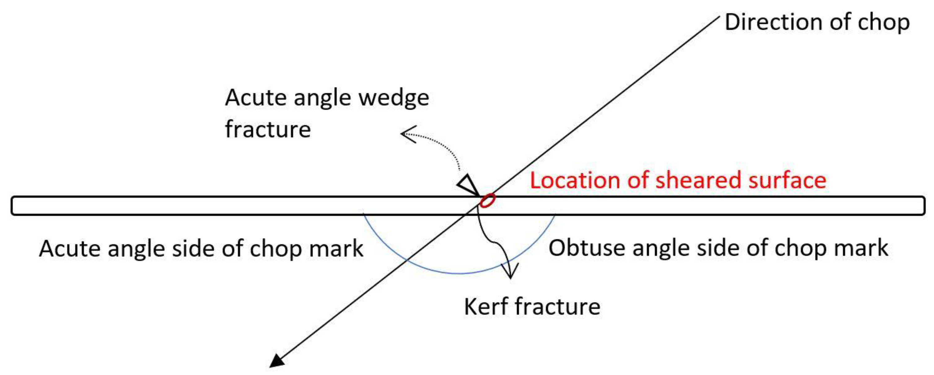 Quaternary 05 00015 g003