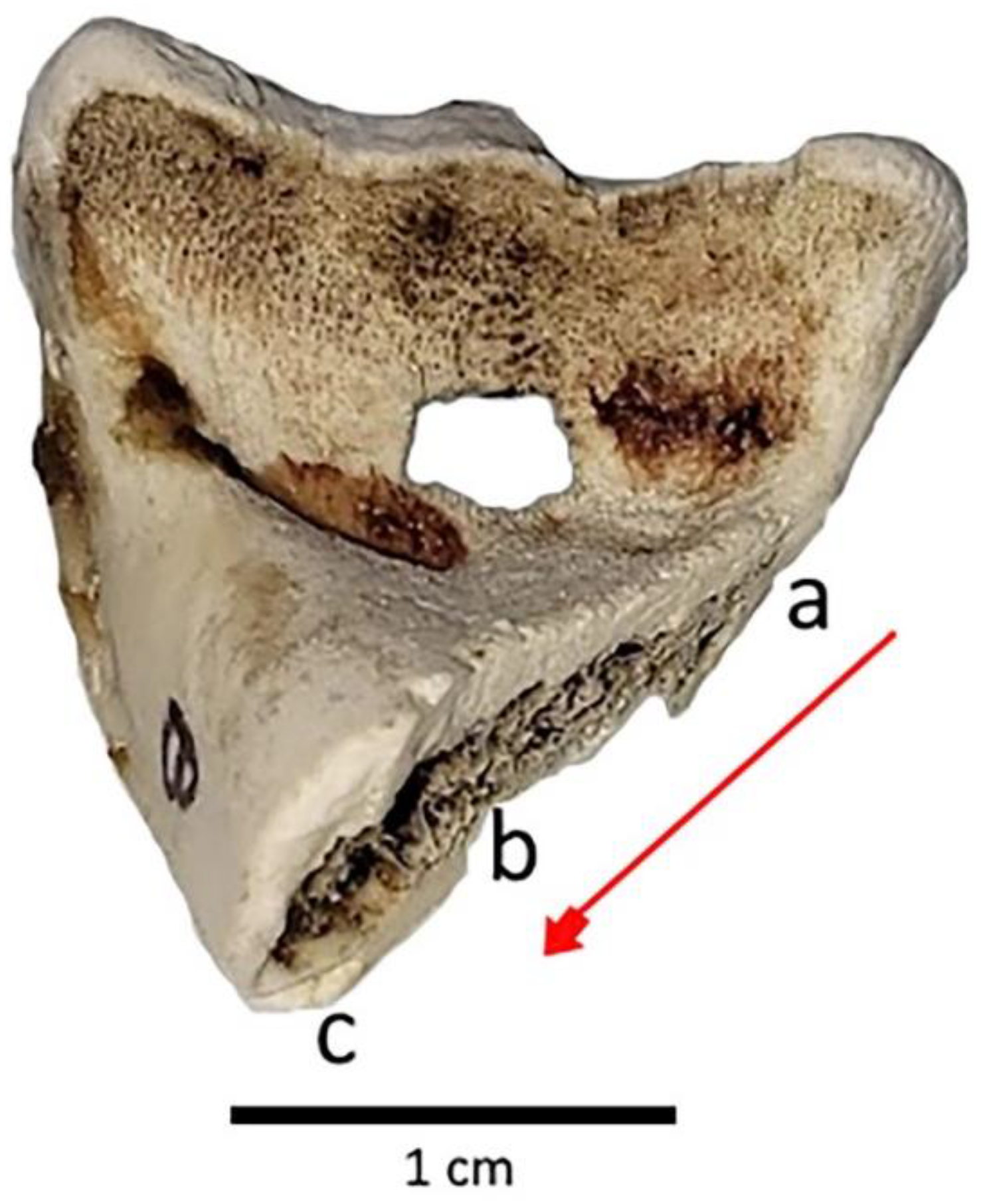 Quaternary 05 00015 g008