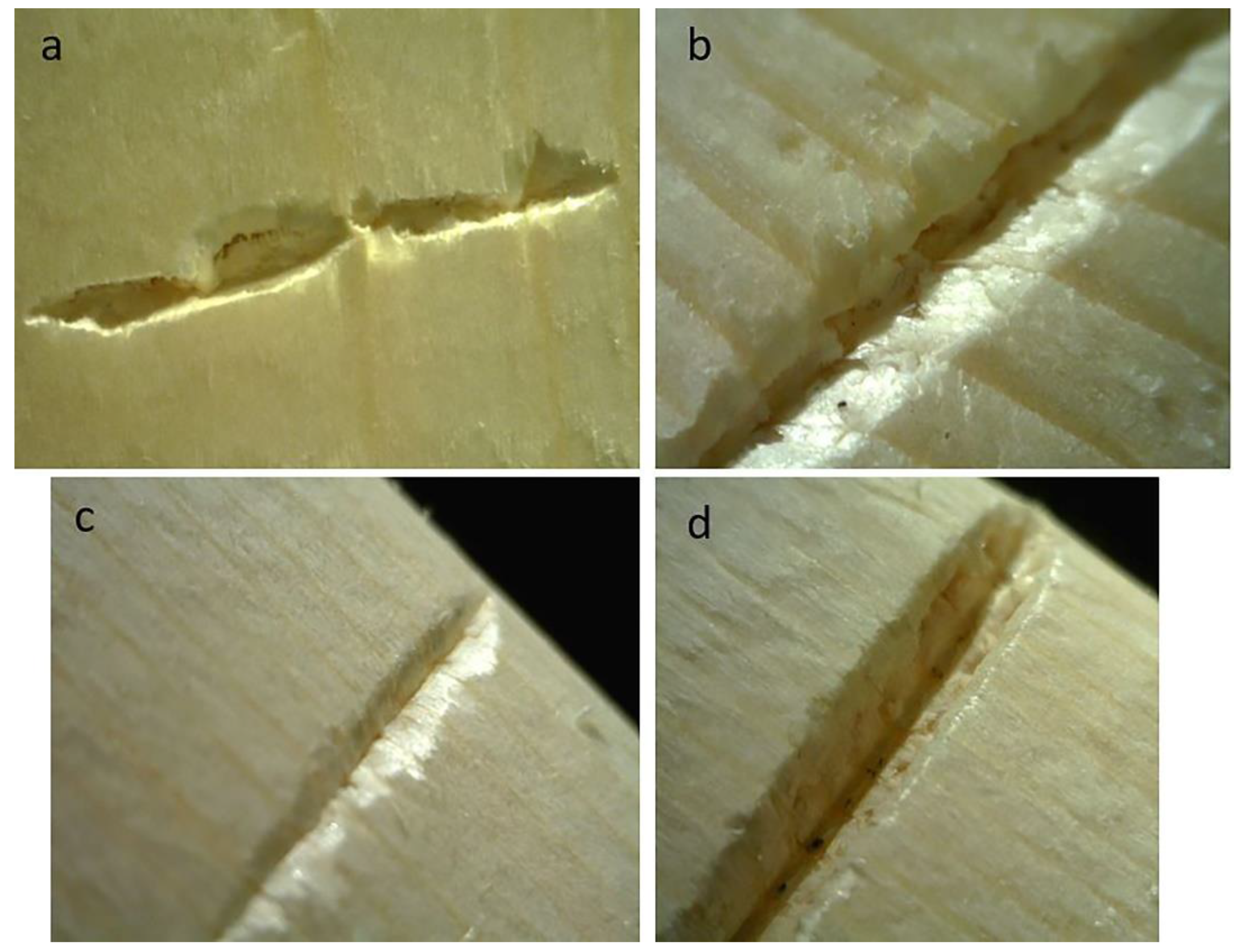 Quaternary 05 00015 g012
