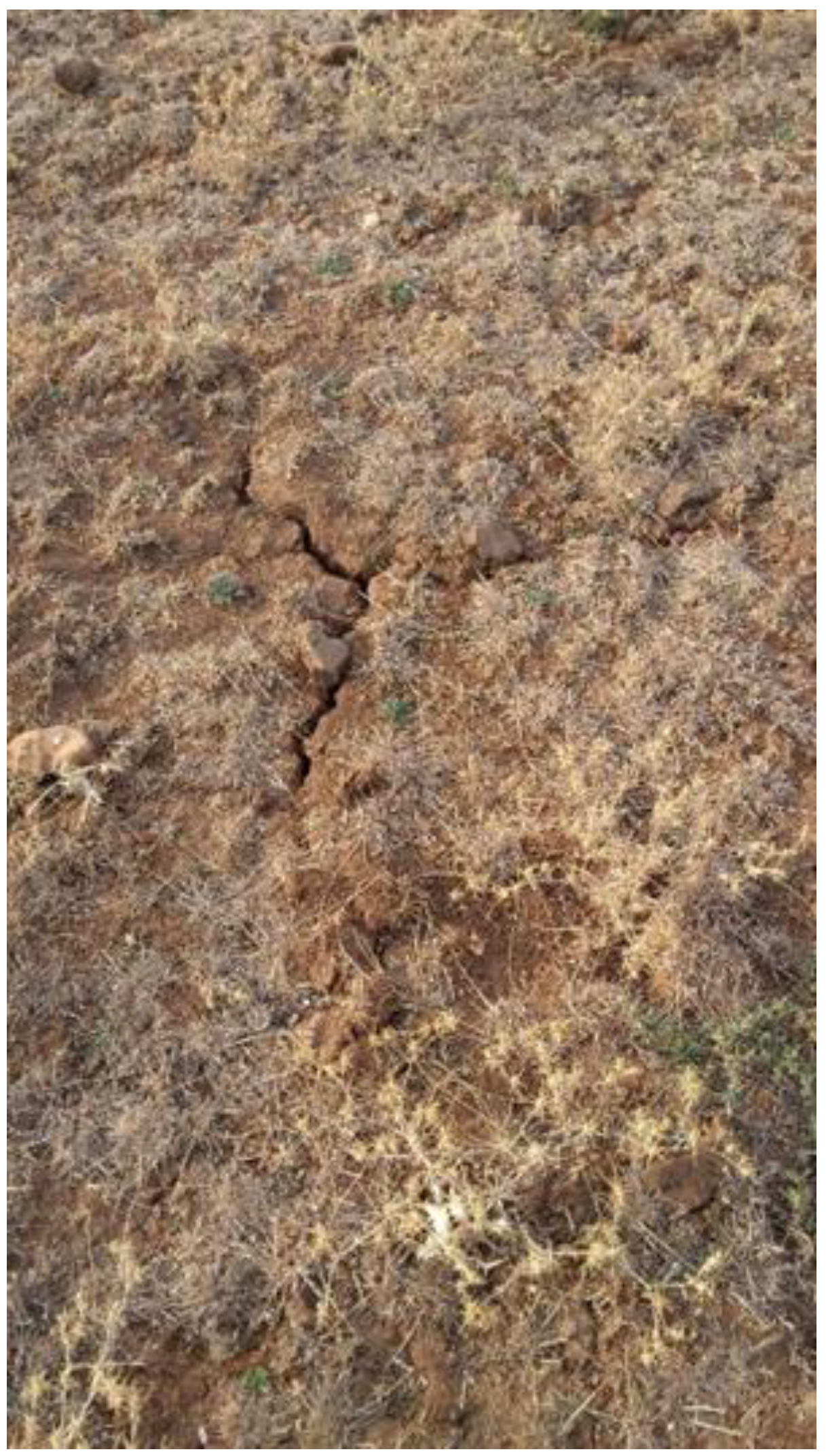 Quaternary 05 00026 g005