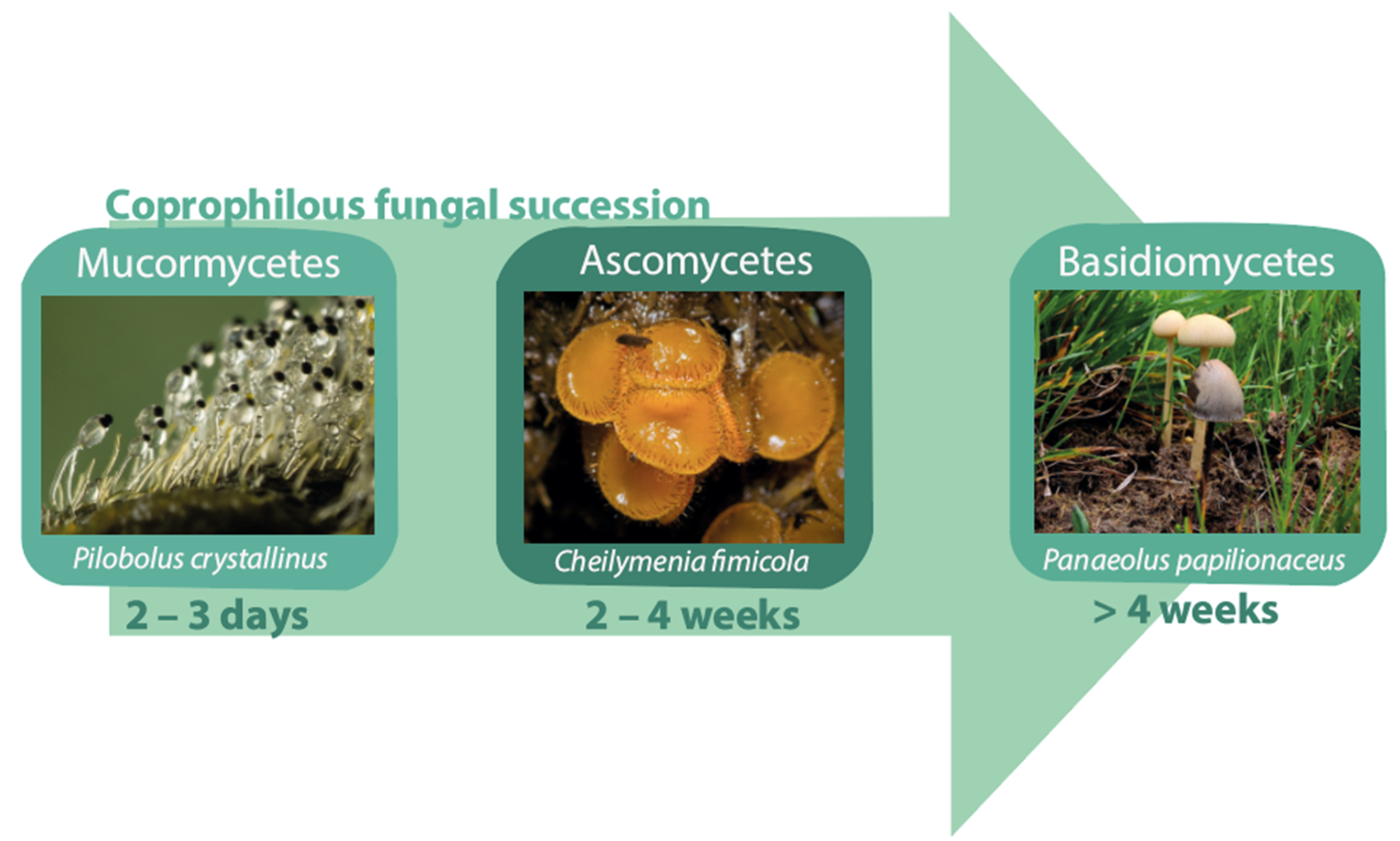 Quaternary 05 00030 g002