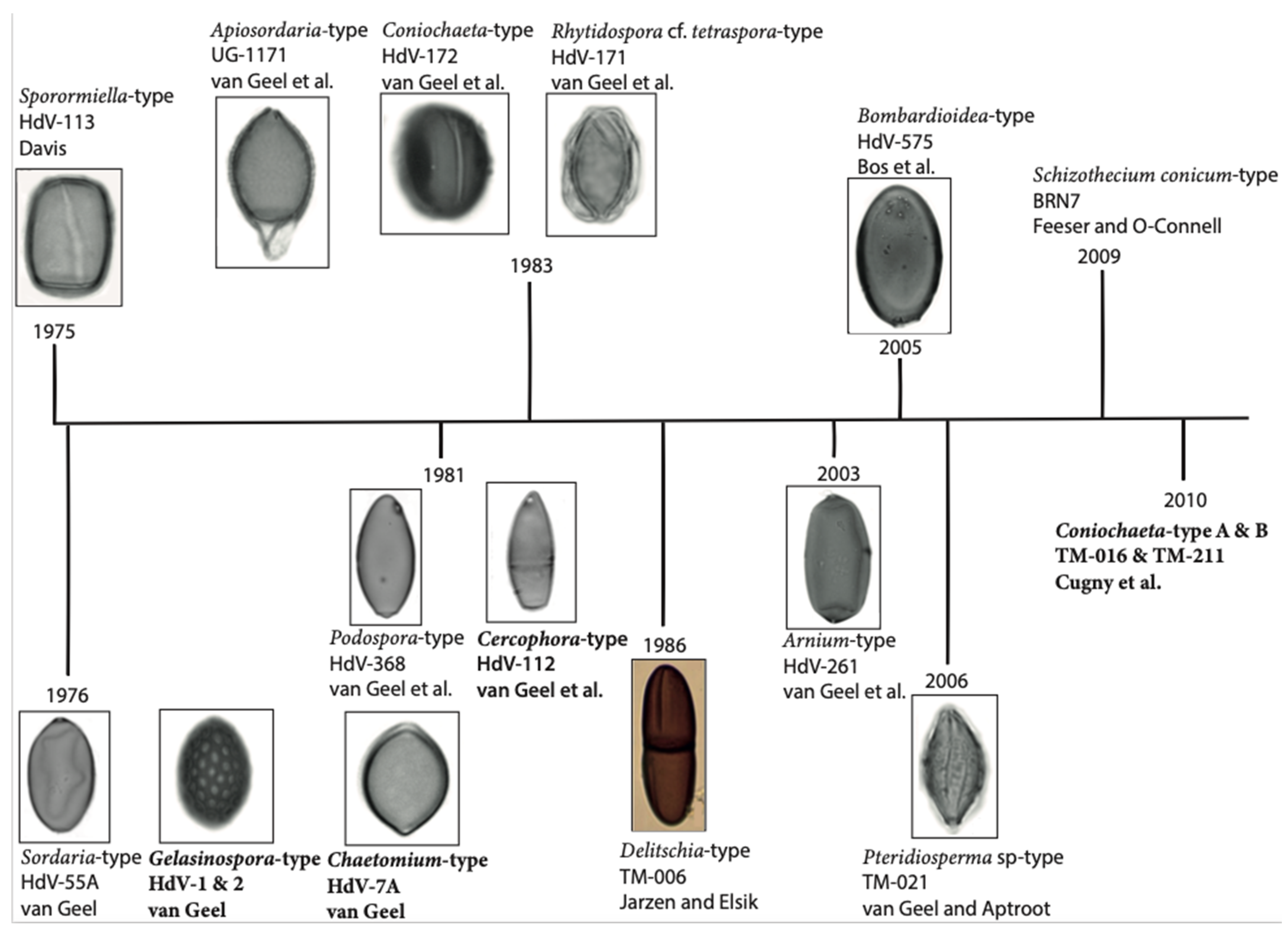 Quaternary 05 00030 g008