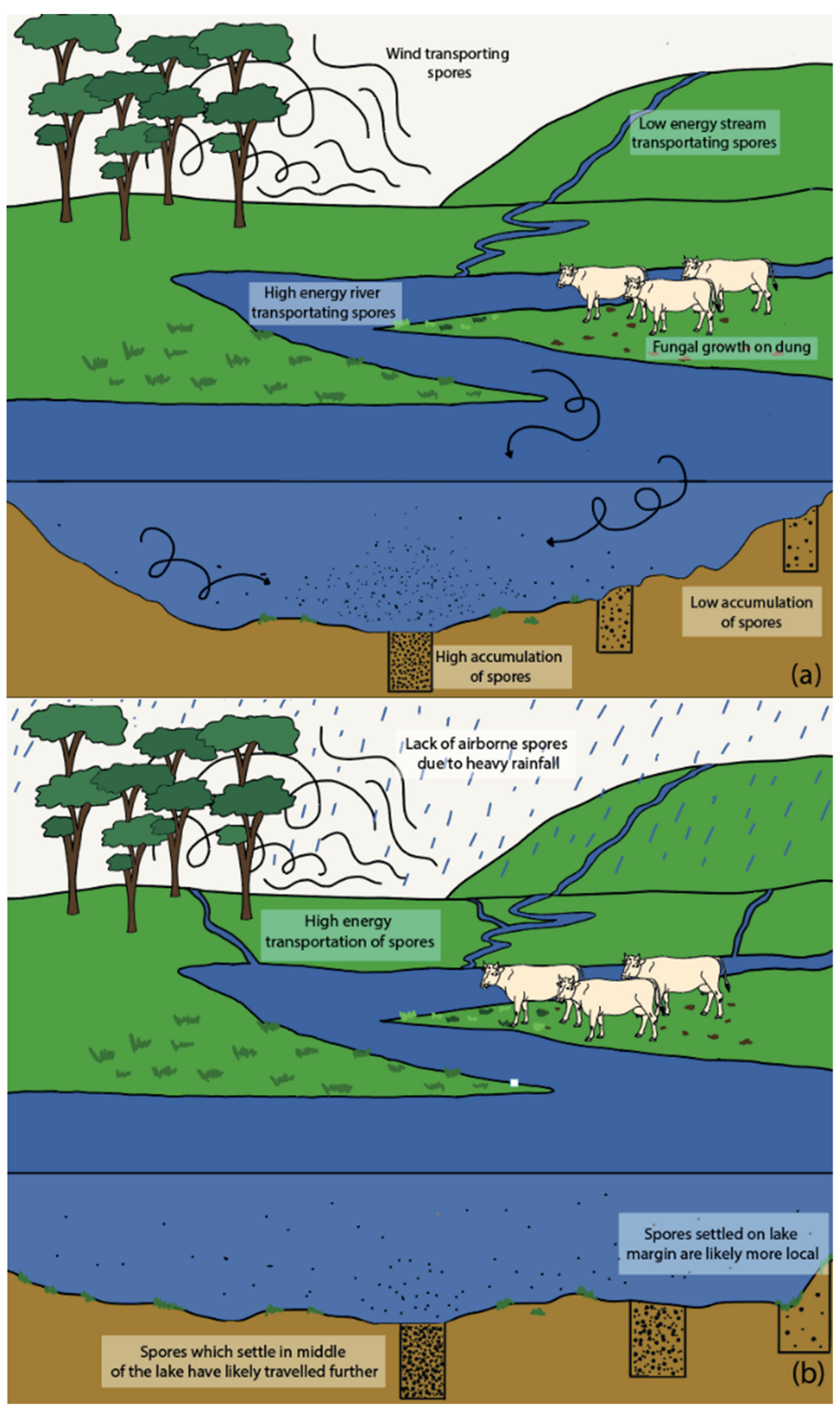 Quaternary 05 00030 g009a