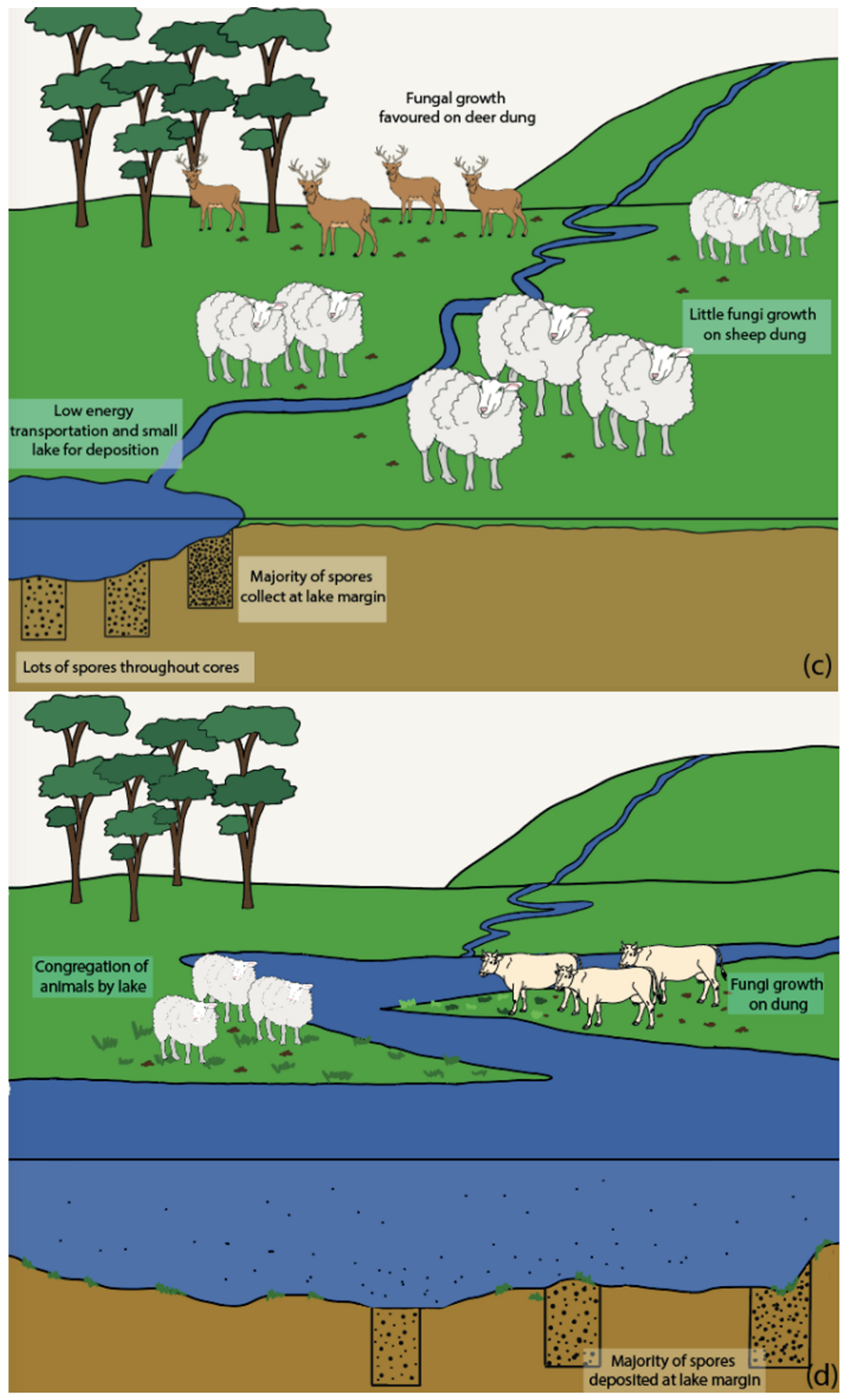 Quaternary 05 00030 g009b