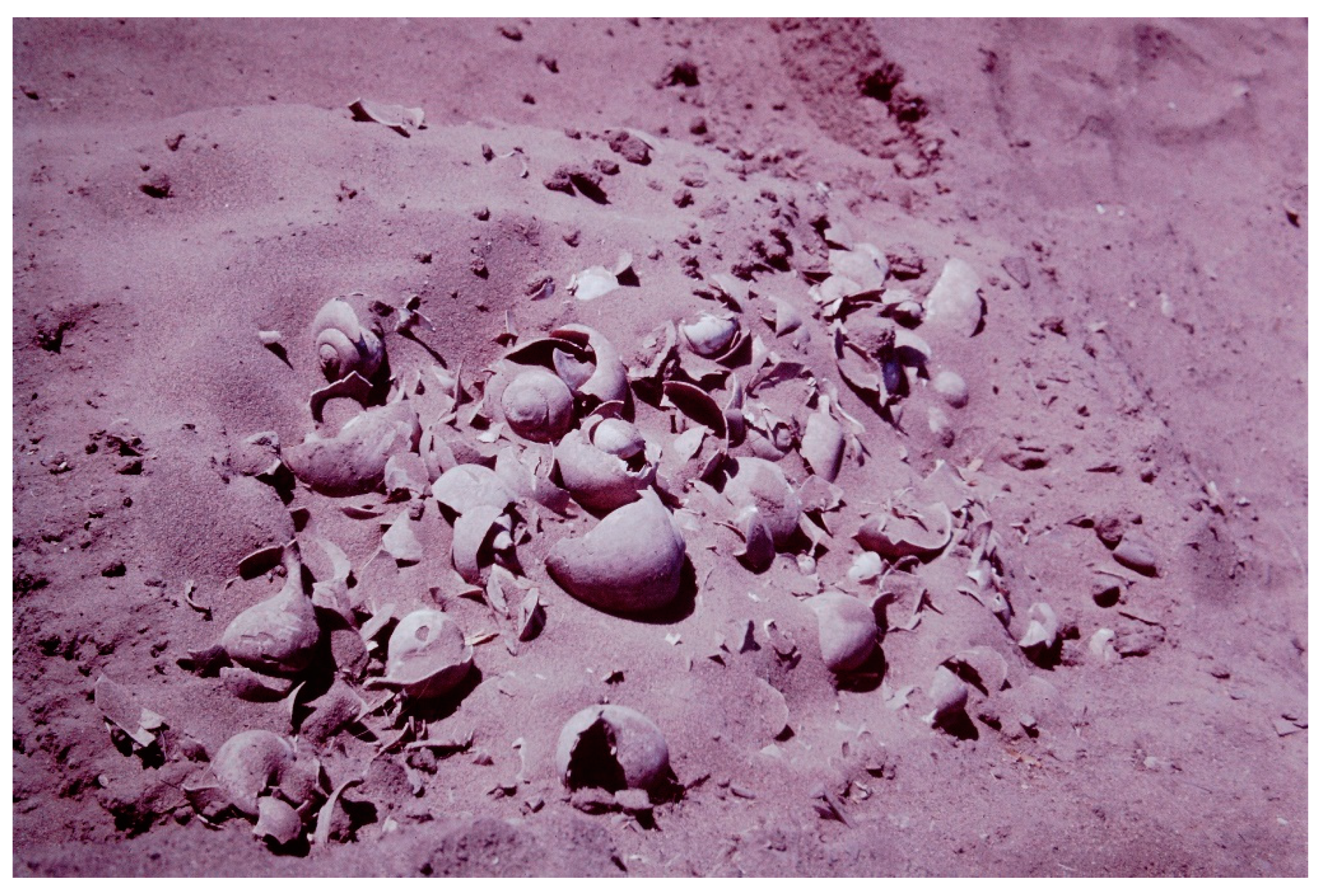 Quaternary 05 00032 g0a5