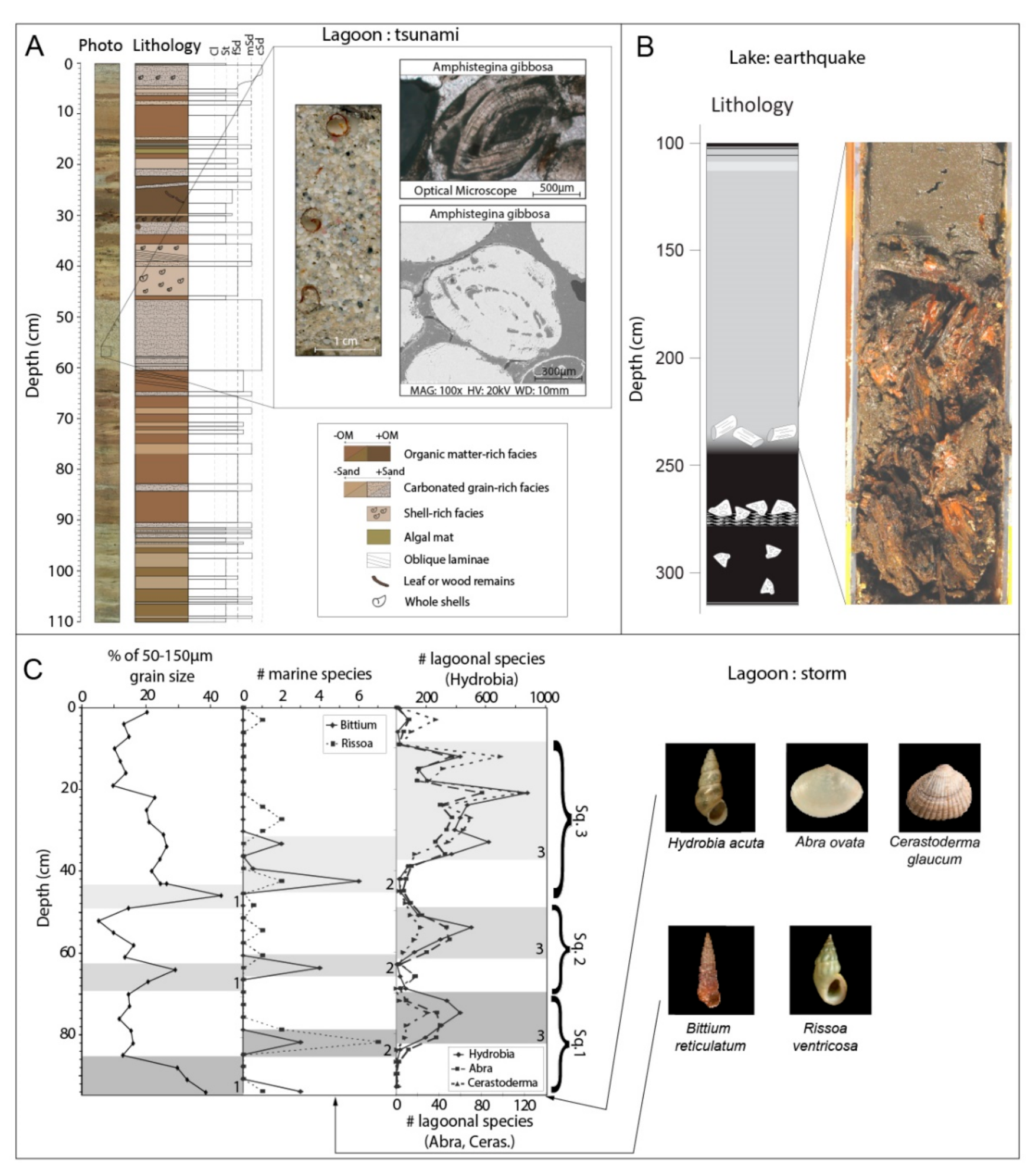 Quaternary 05 00034 g017