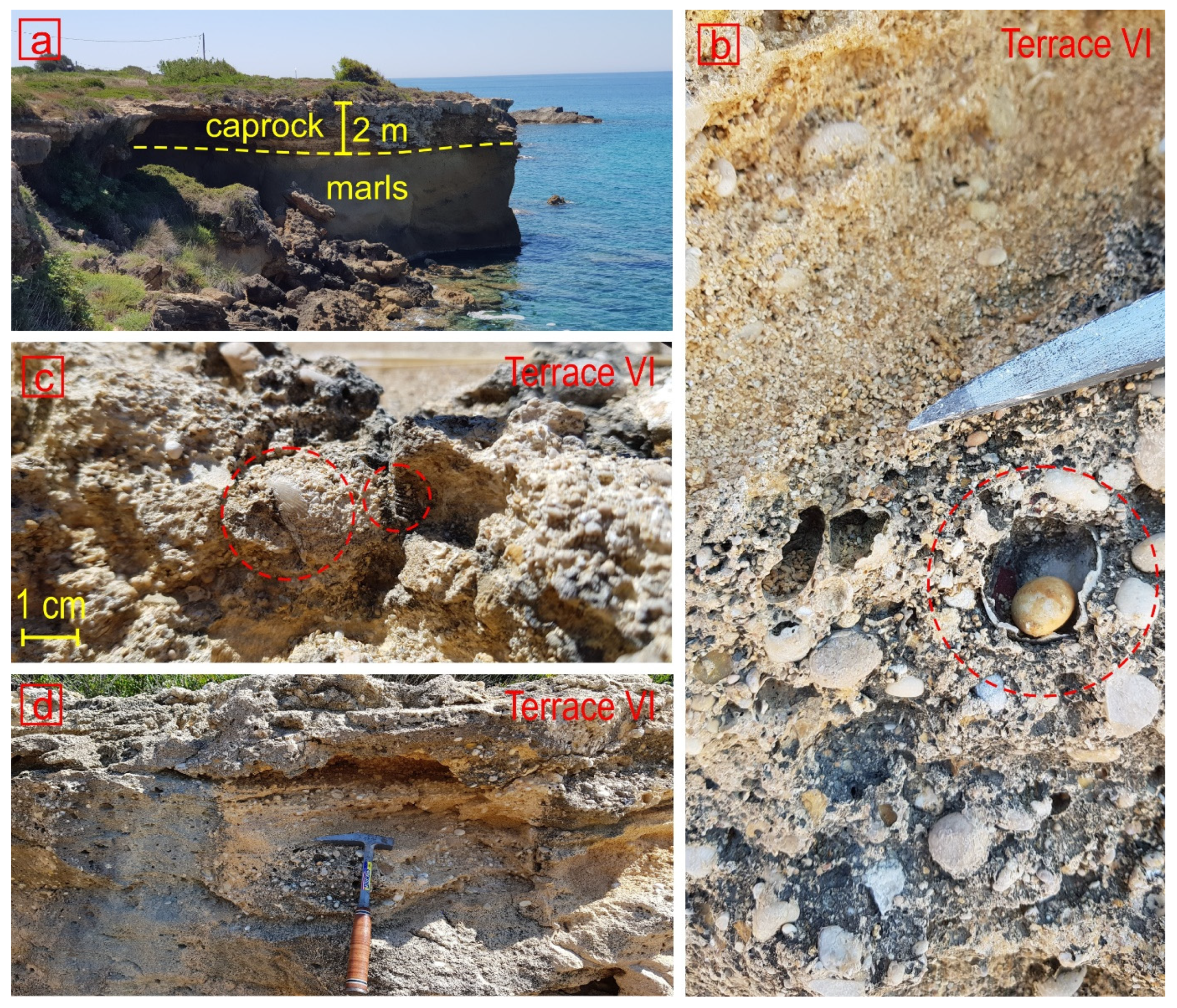 Quaternary 05 00035 g006