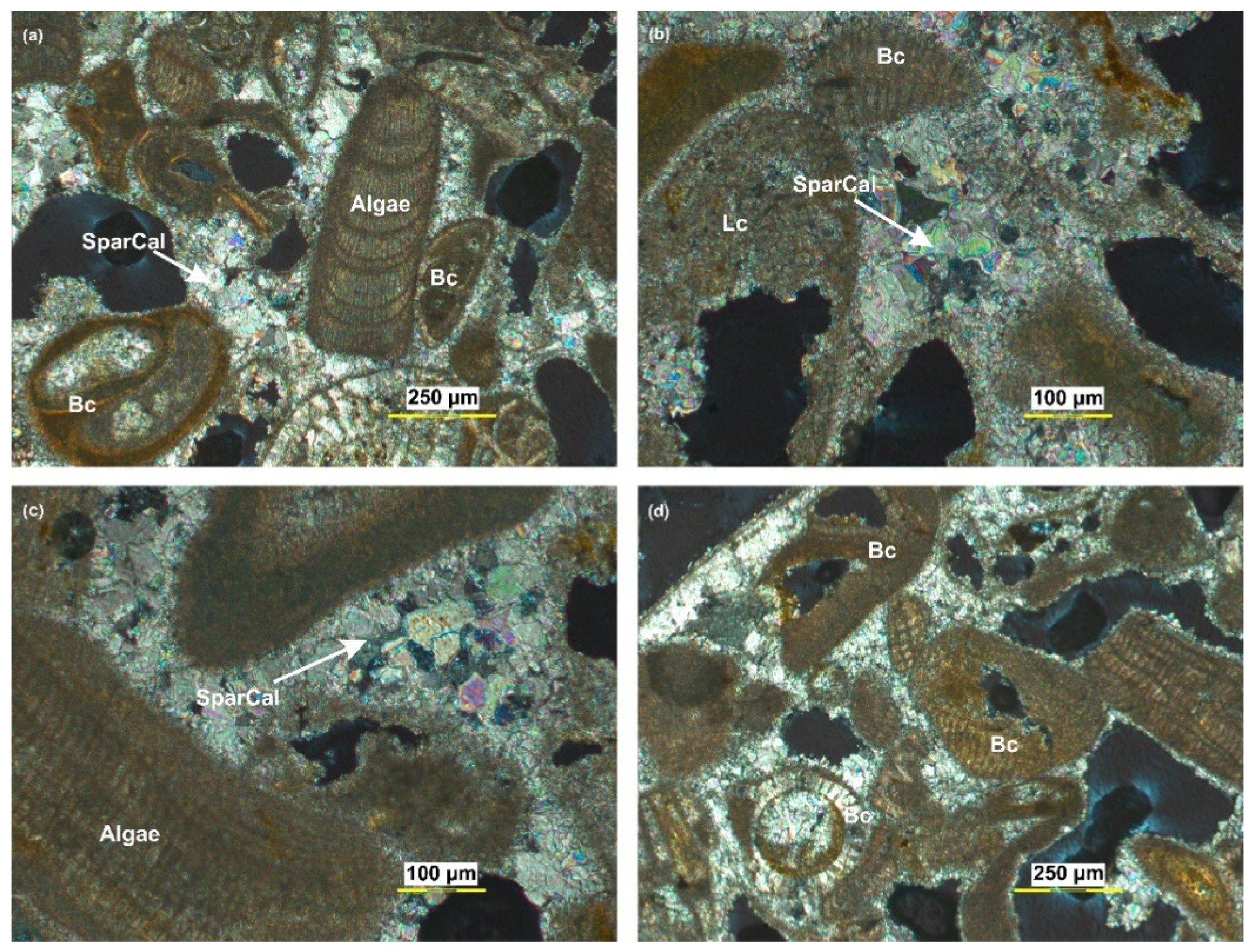 Quaternary 05 00035 g009