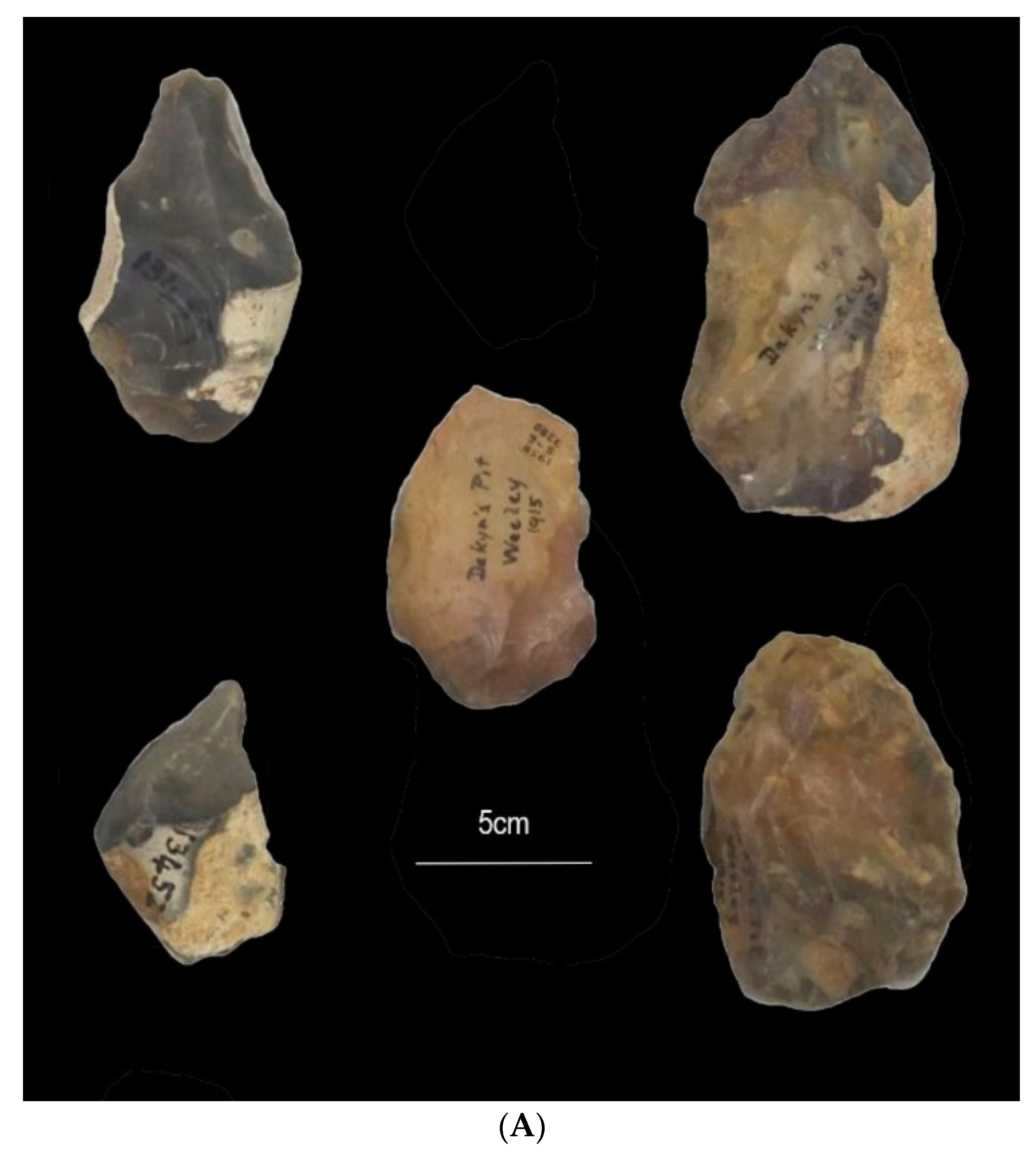 Quaternary 05 00037 g006a