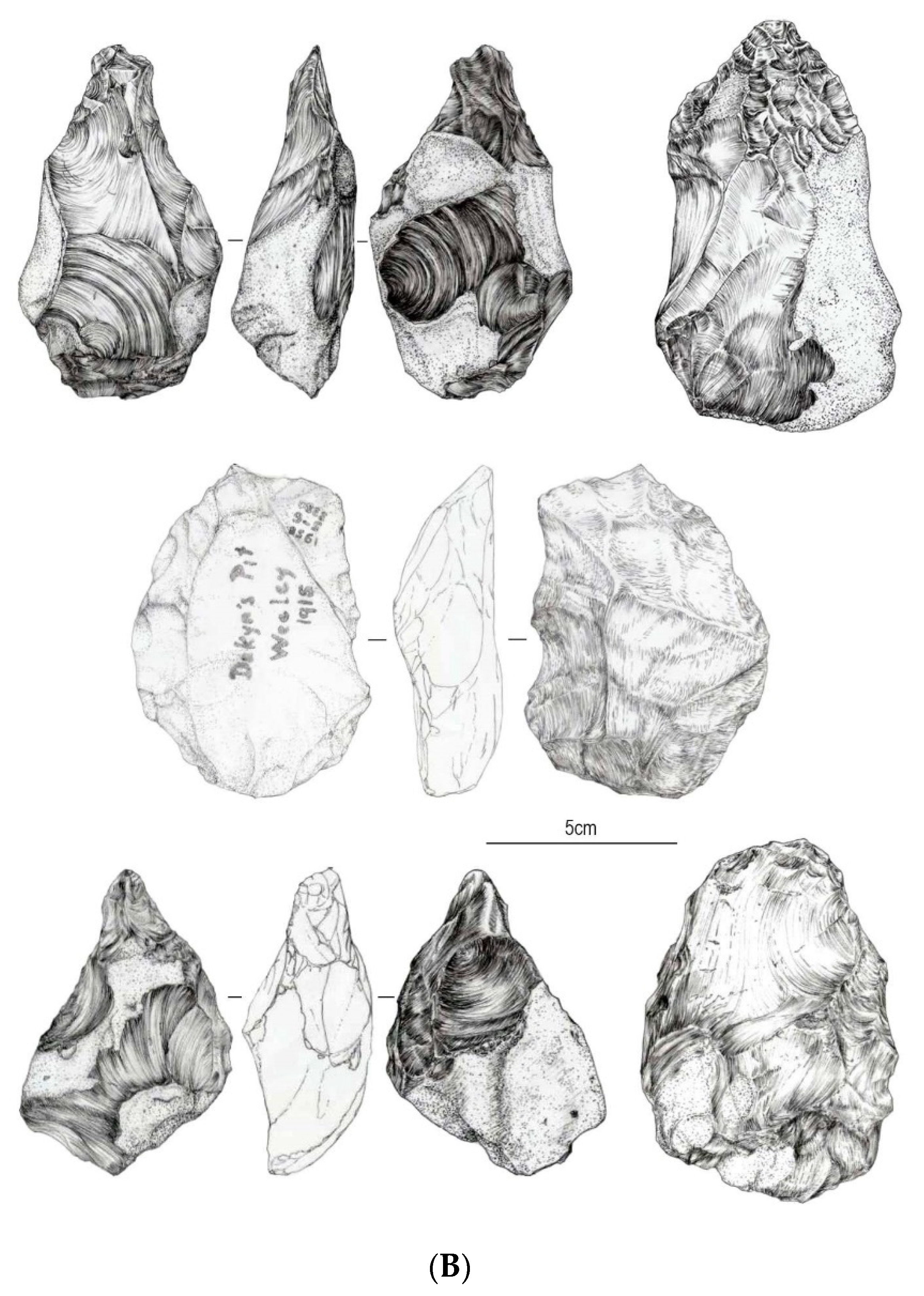 Quaternary 05 00037 g006b