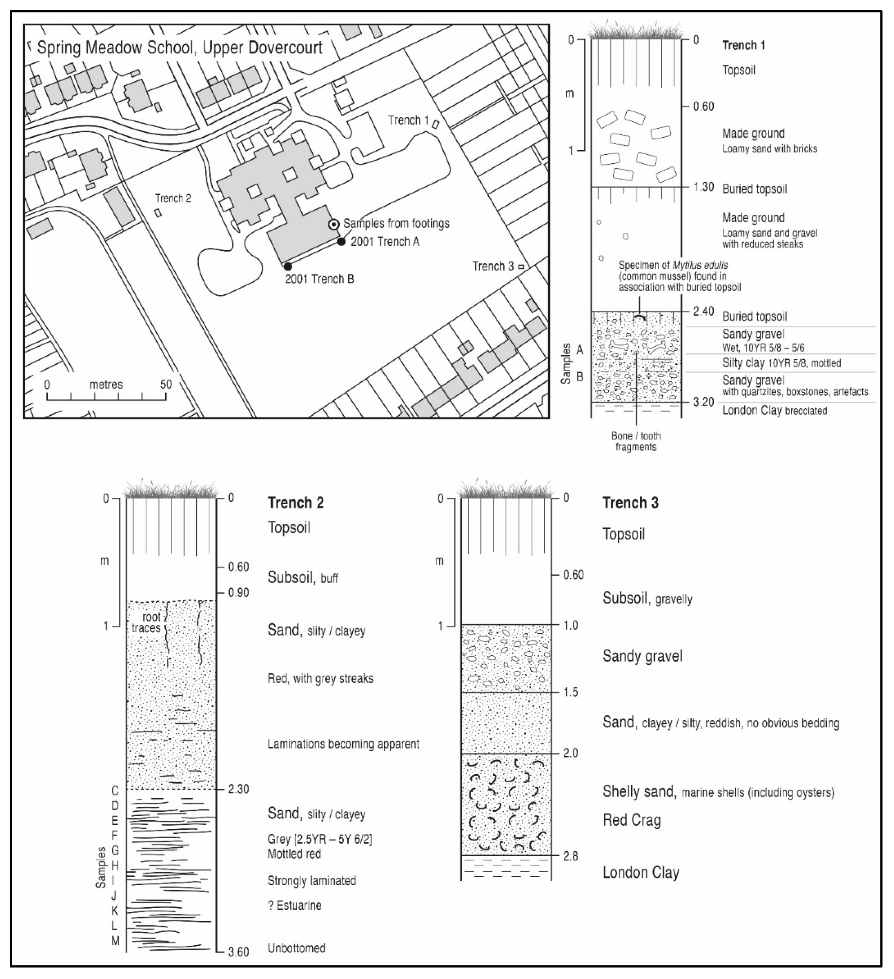 Quaternary 05 00037 g010