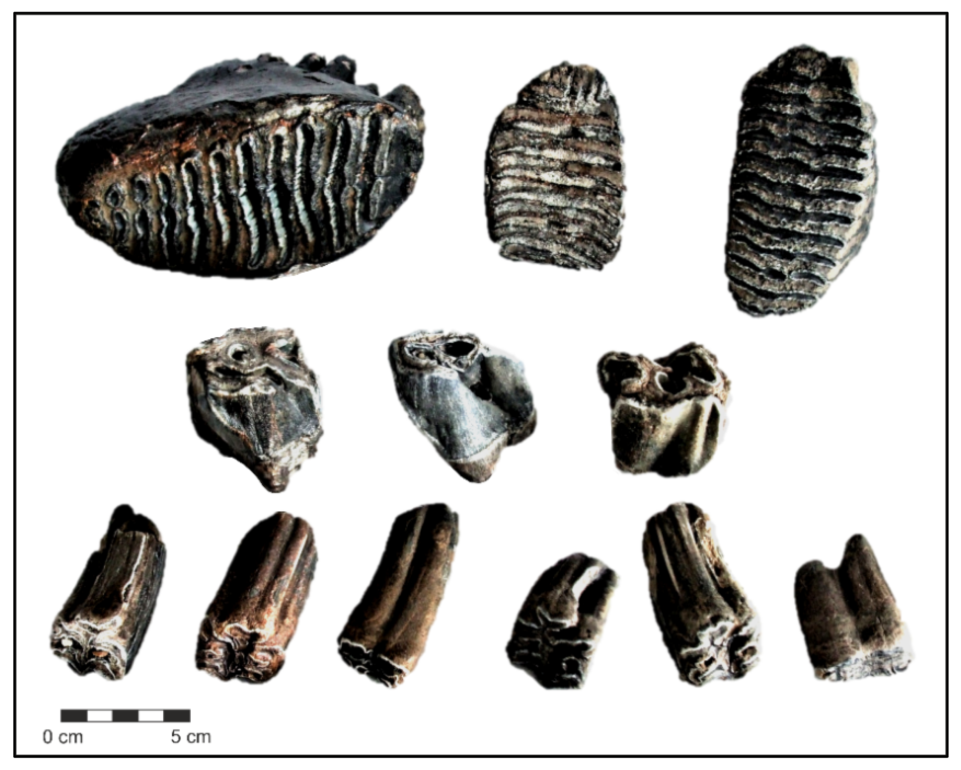 Quaternary 05 00037 g013