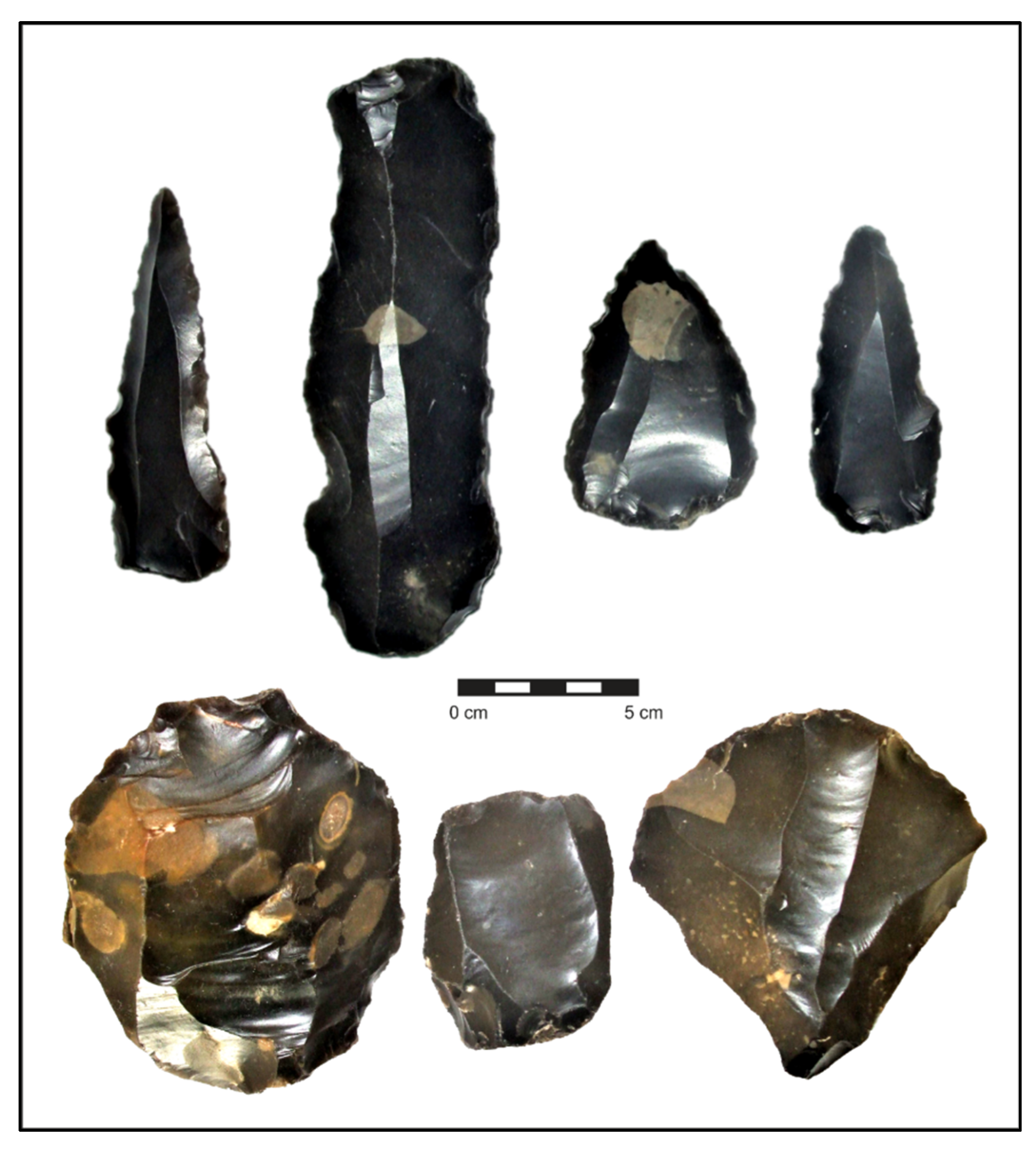 Quaternary 05 00037 g014