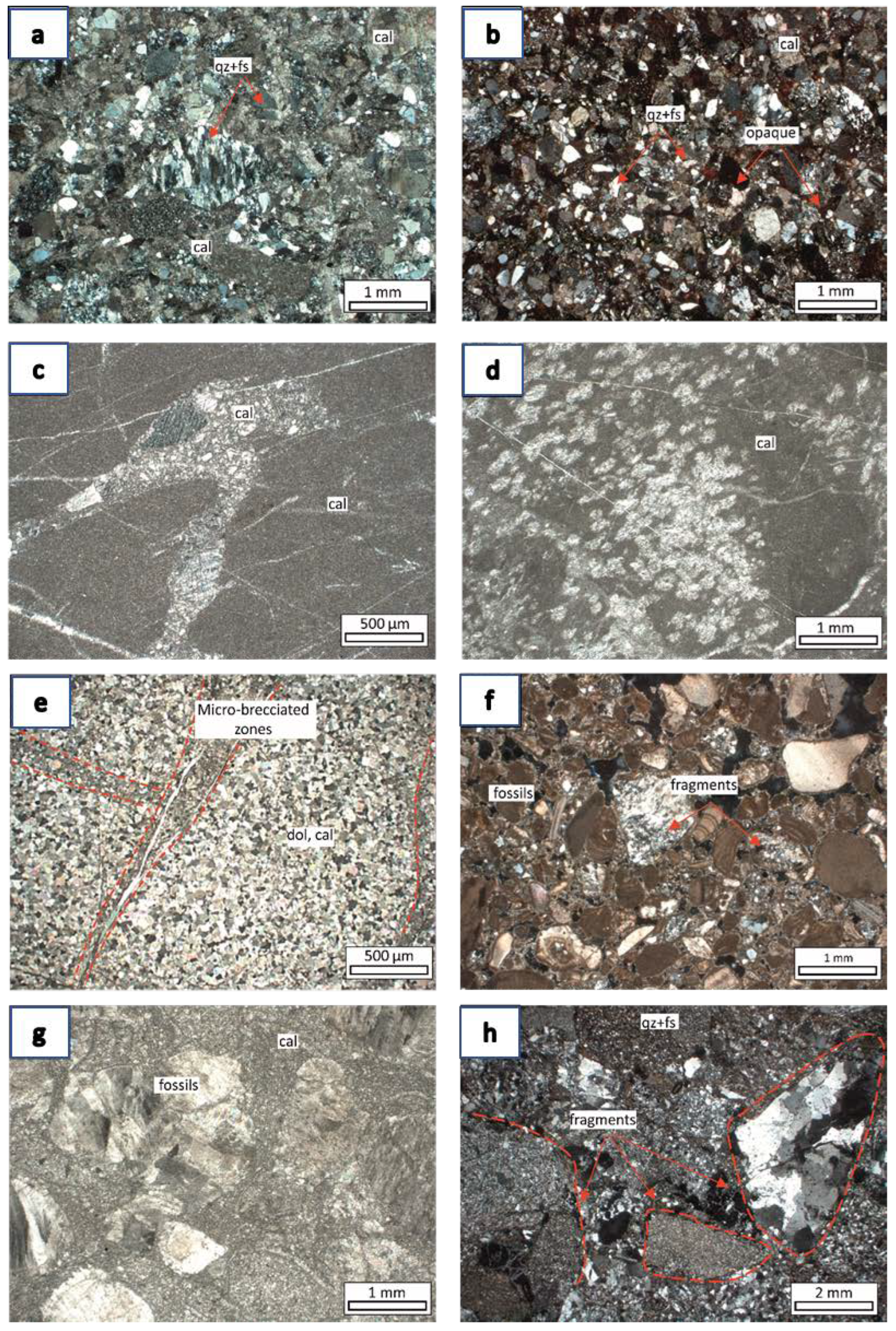 Quaternary 05 00042 g008 Quaternary 05 00042 g008
