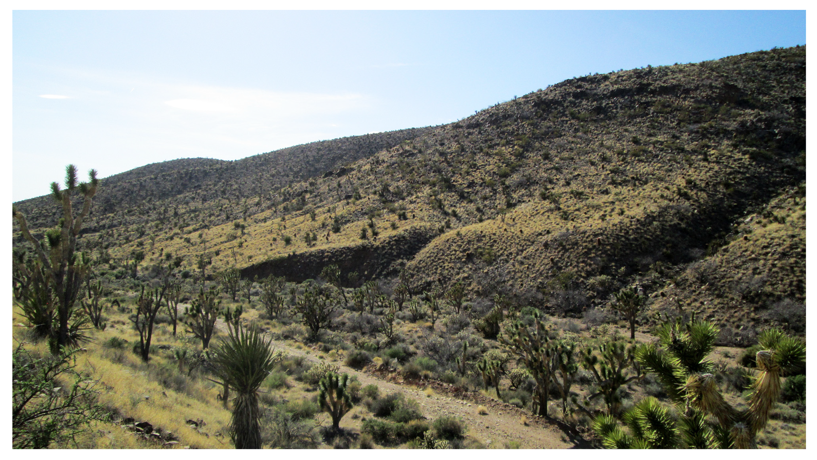 Quaternary 05 00043 g004