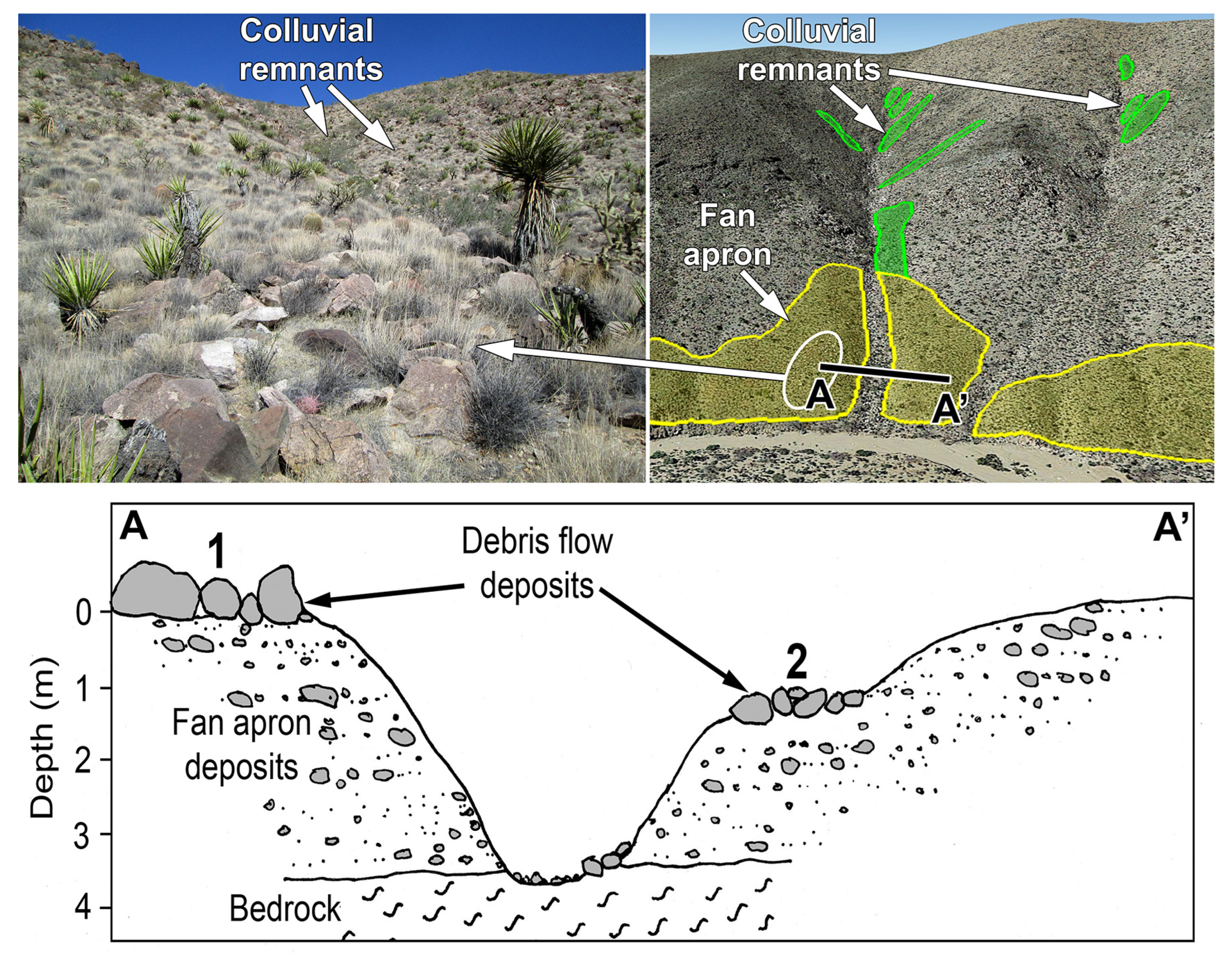 Quaternary 05 00043 g009