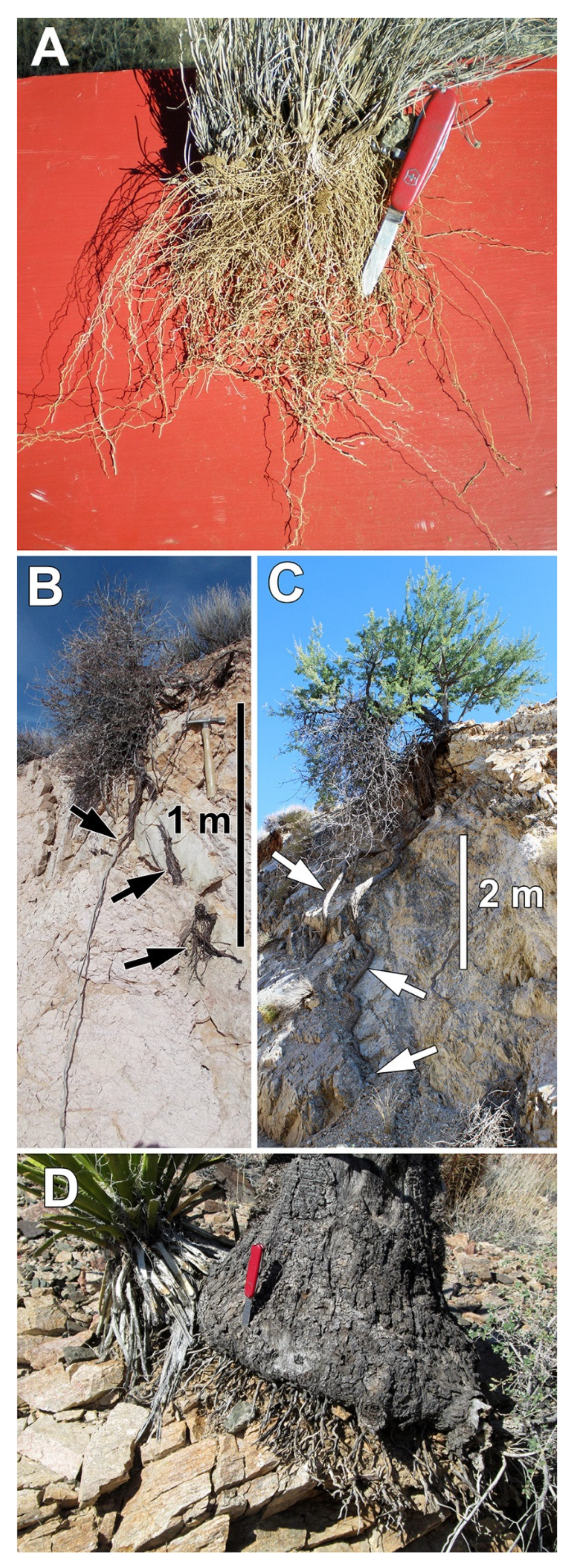 Quaternary 05 00043 g011