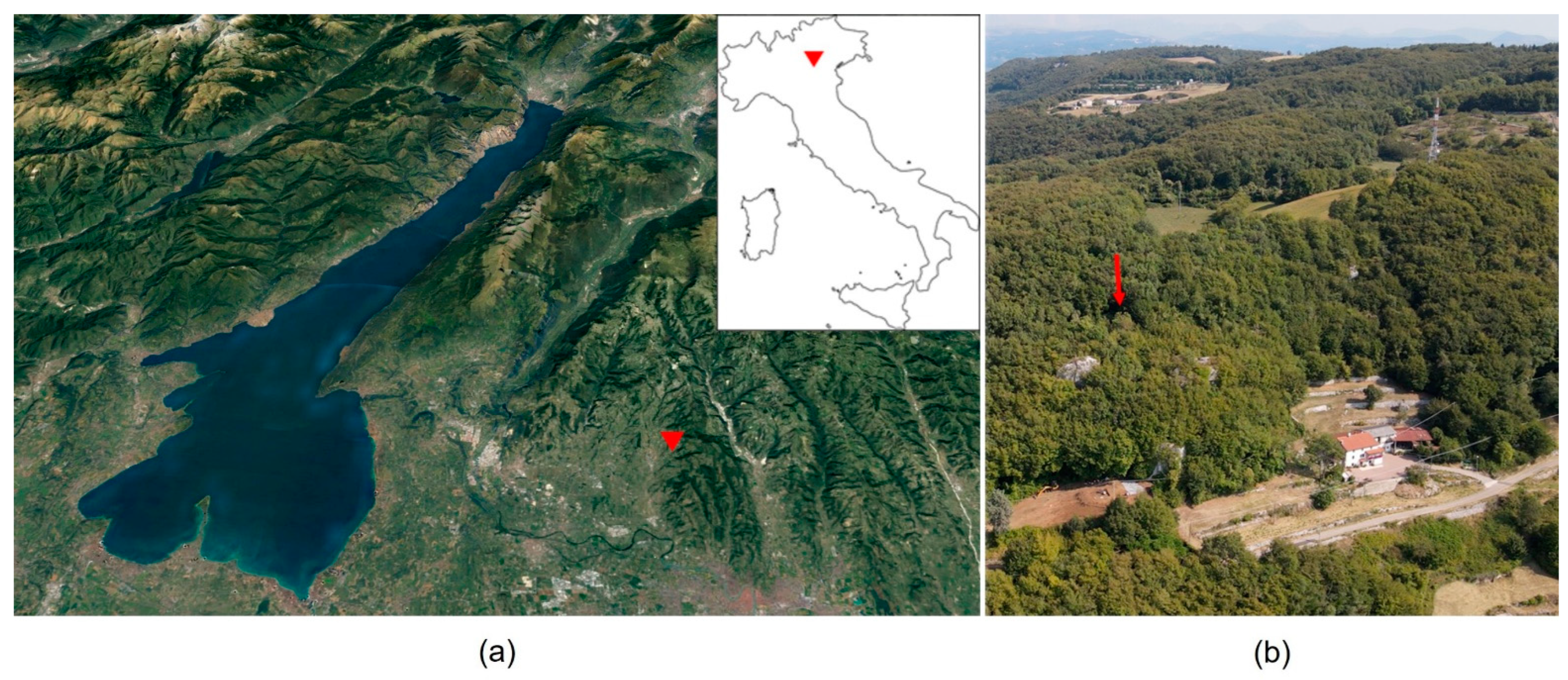 Quaternary 05 00050 g001 Quaternary 05 00050 g001