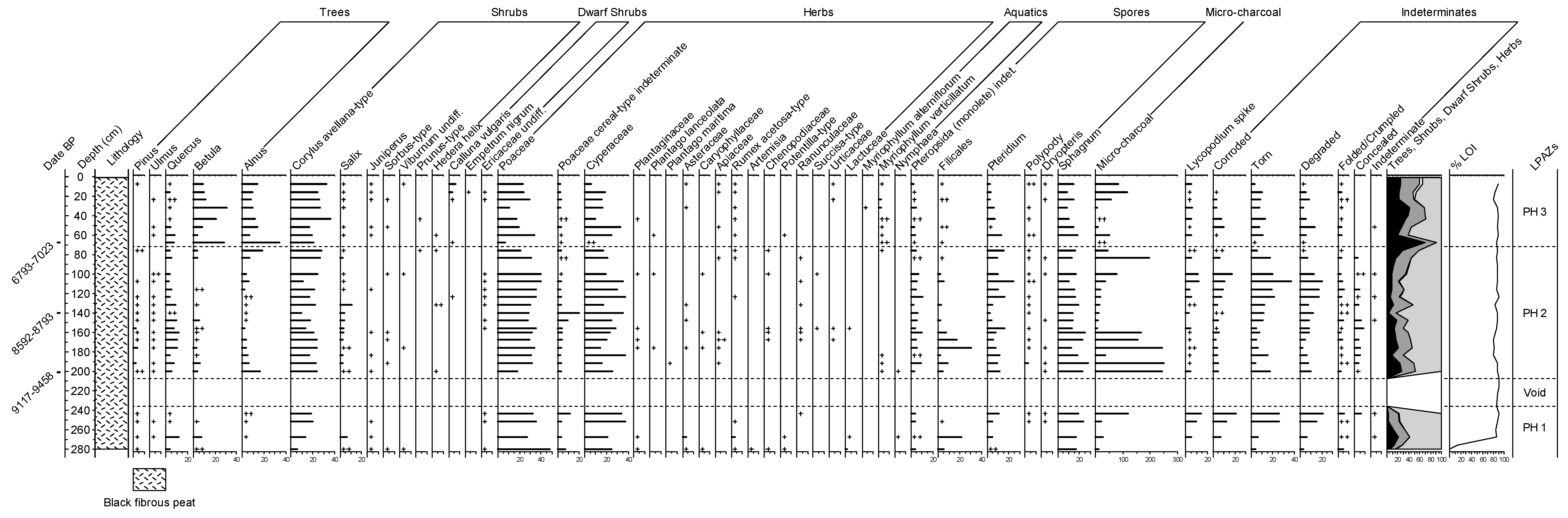 Quaternary 06 00002 g004 Quaternary 06 00002 g004