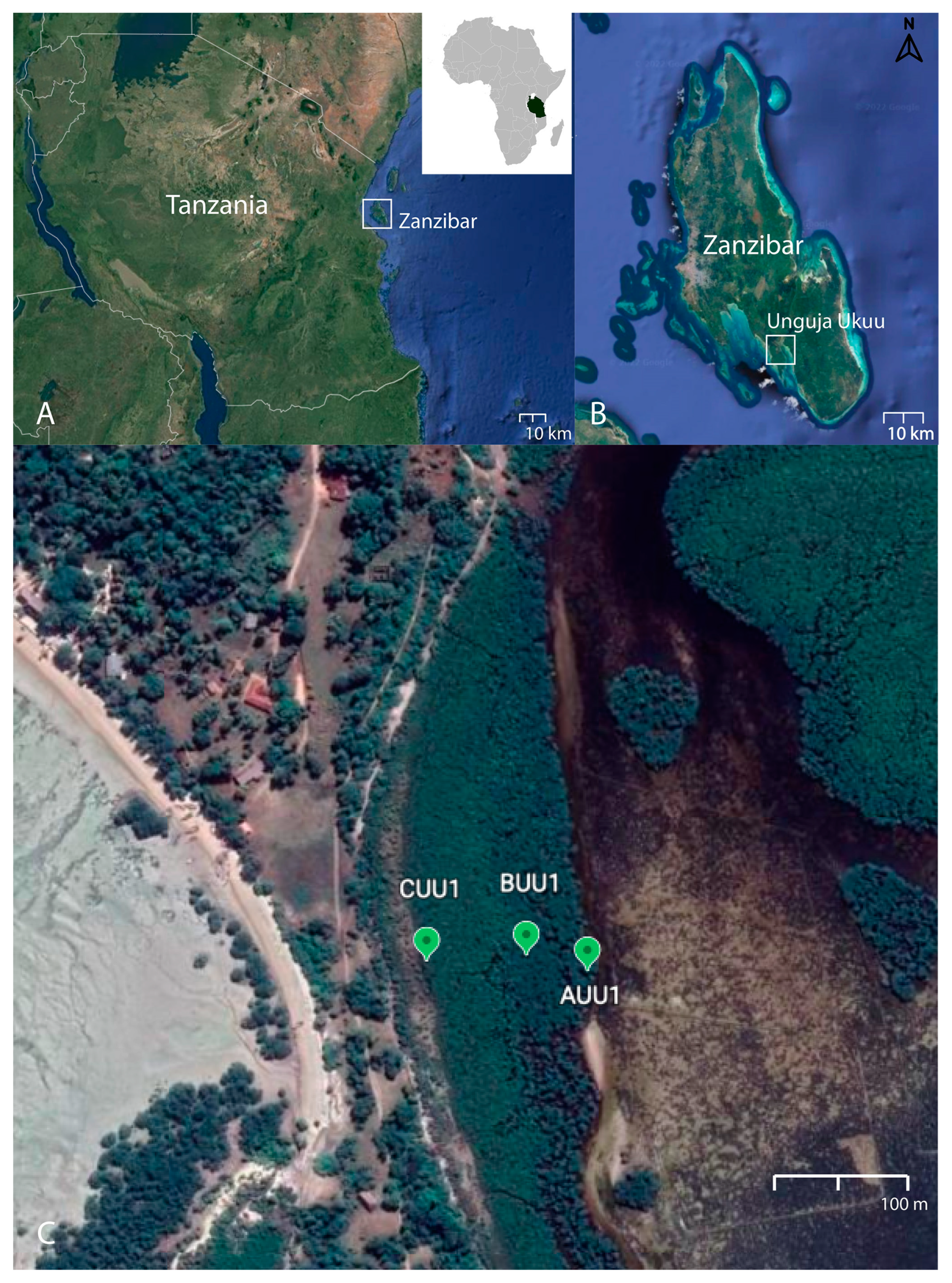 Quaternary 06 00021 g001