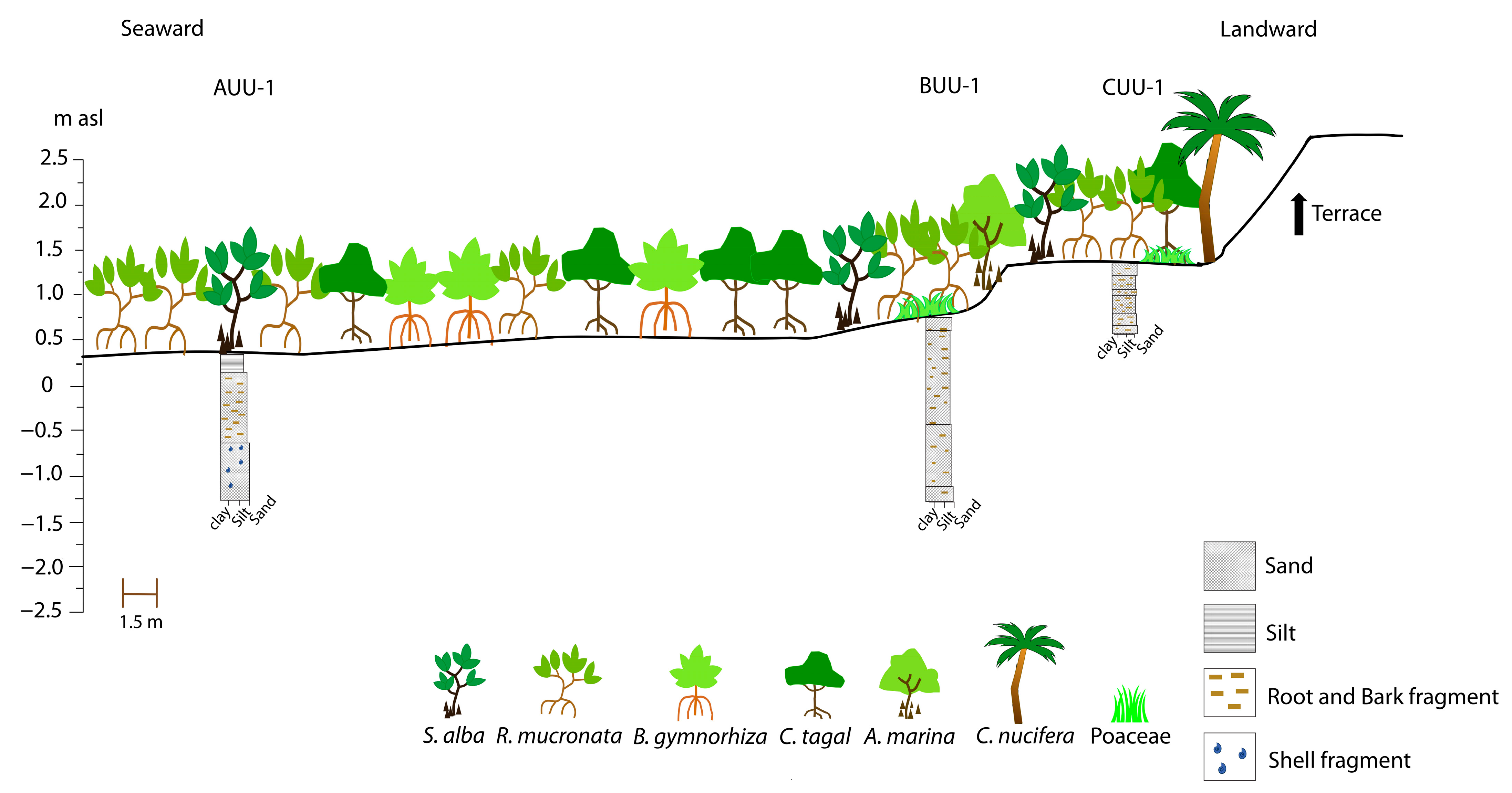 Quaternary 06 00021 g002