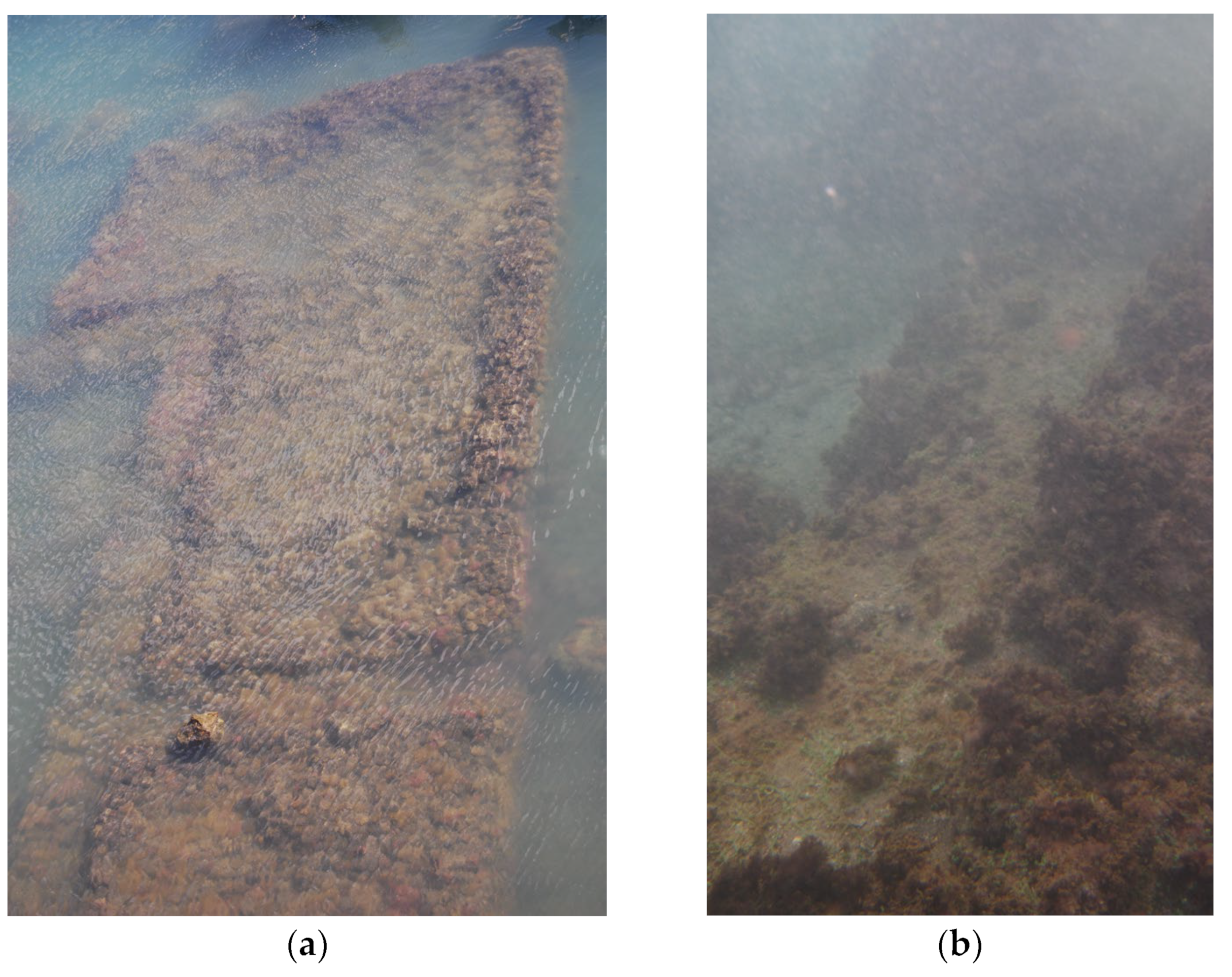 Quaternary 06 00024 g005