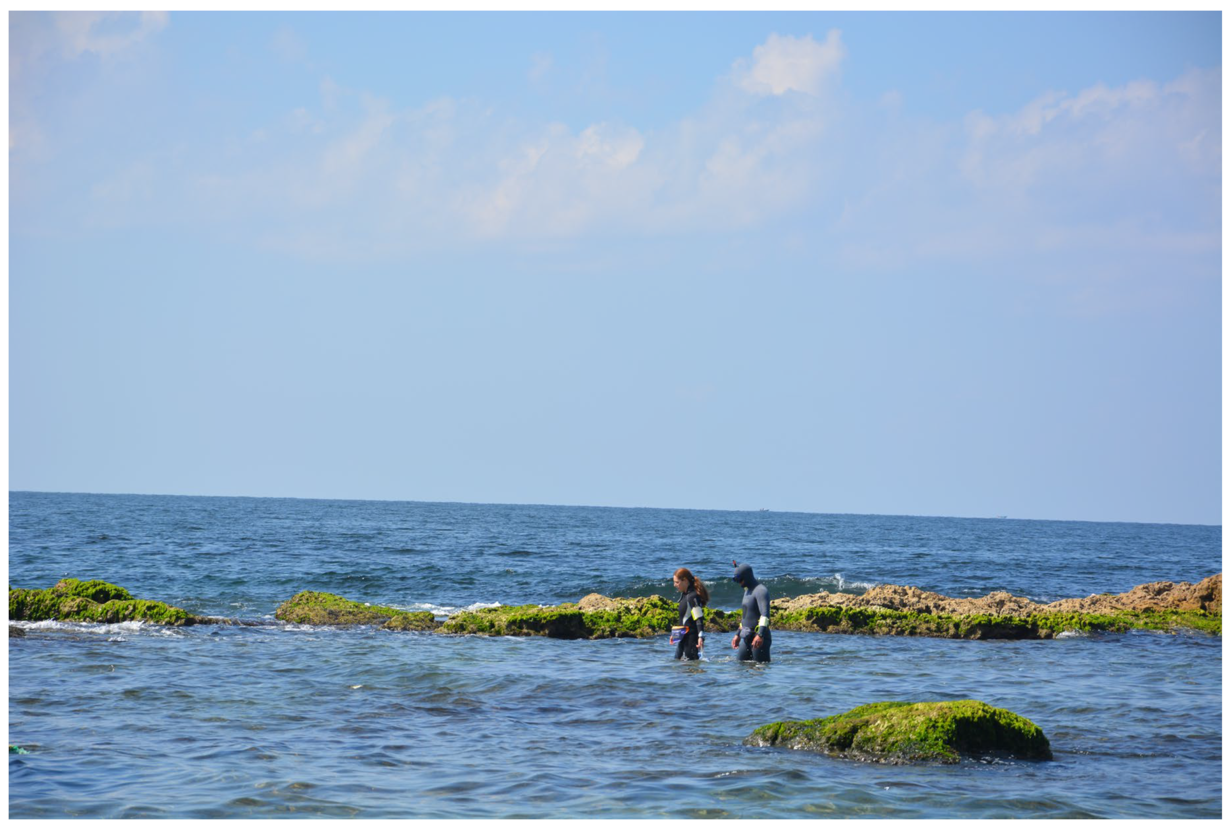 Quaternary 06 00024 g010