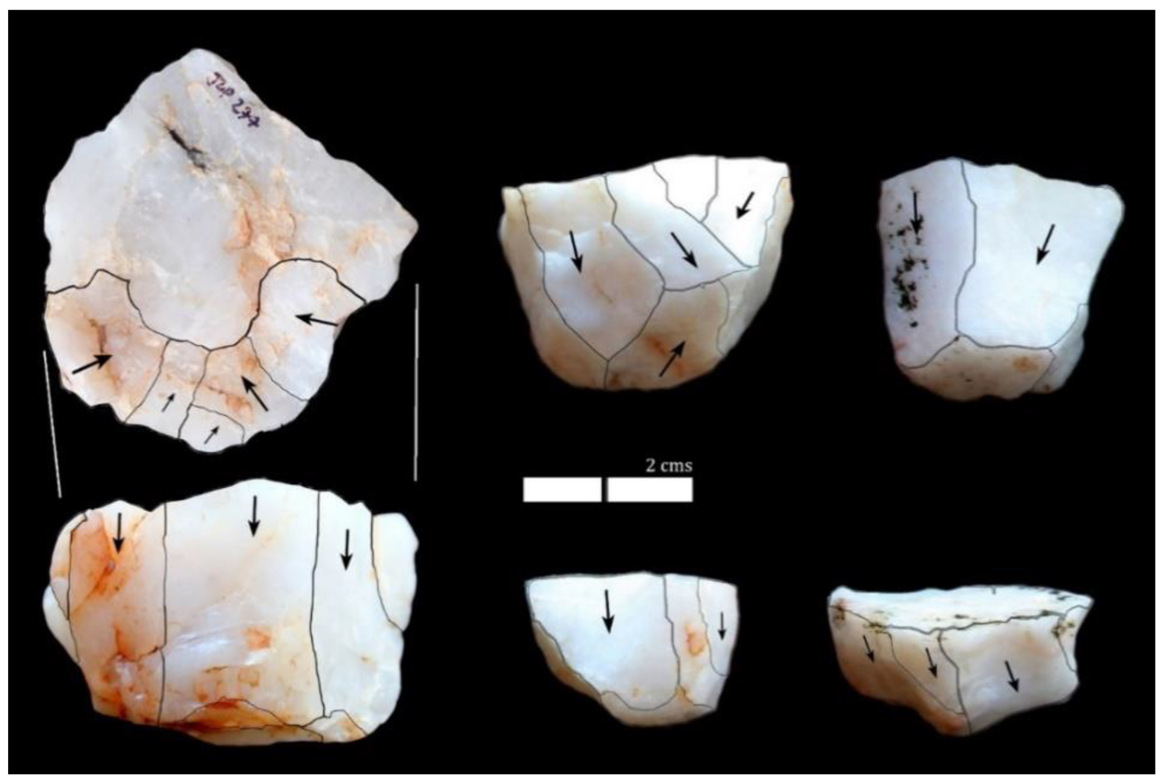 Quaternary 06 00025 g006