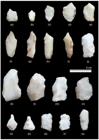 Quaternary 06 00025 g008
